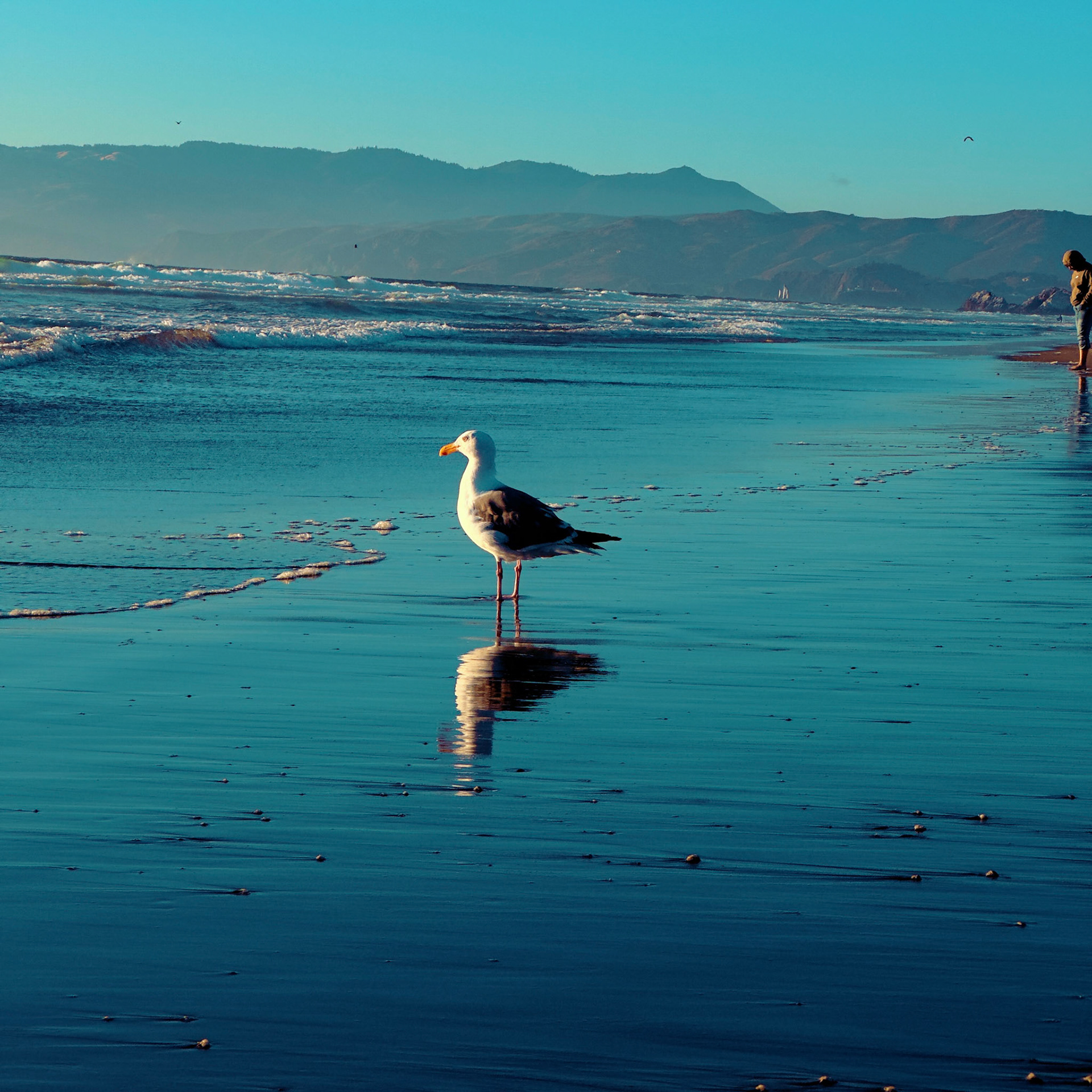 Ocean Beach Sands No.28