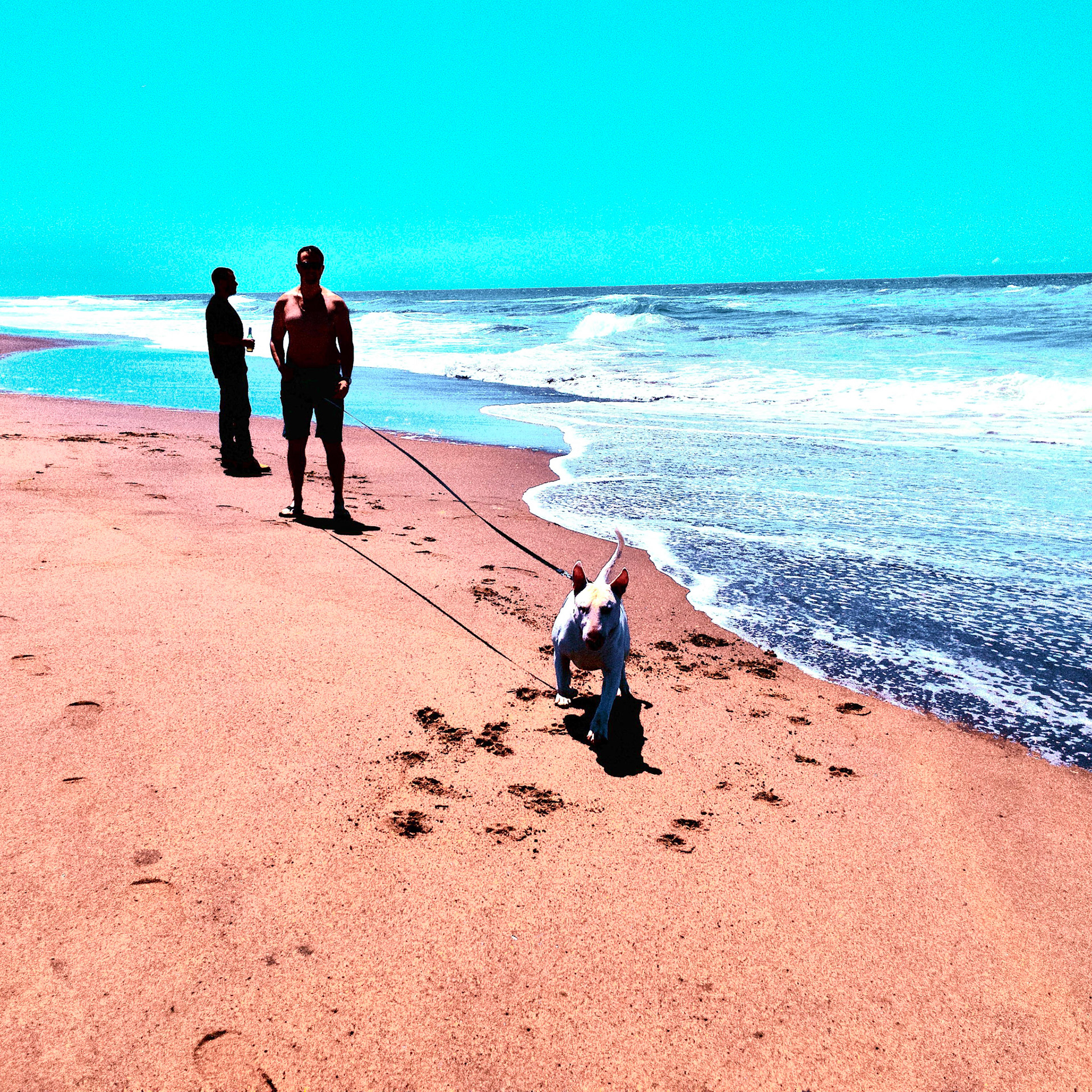 Ocean Beach Sands No.13
