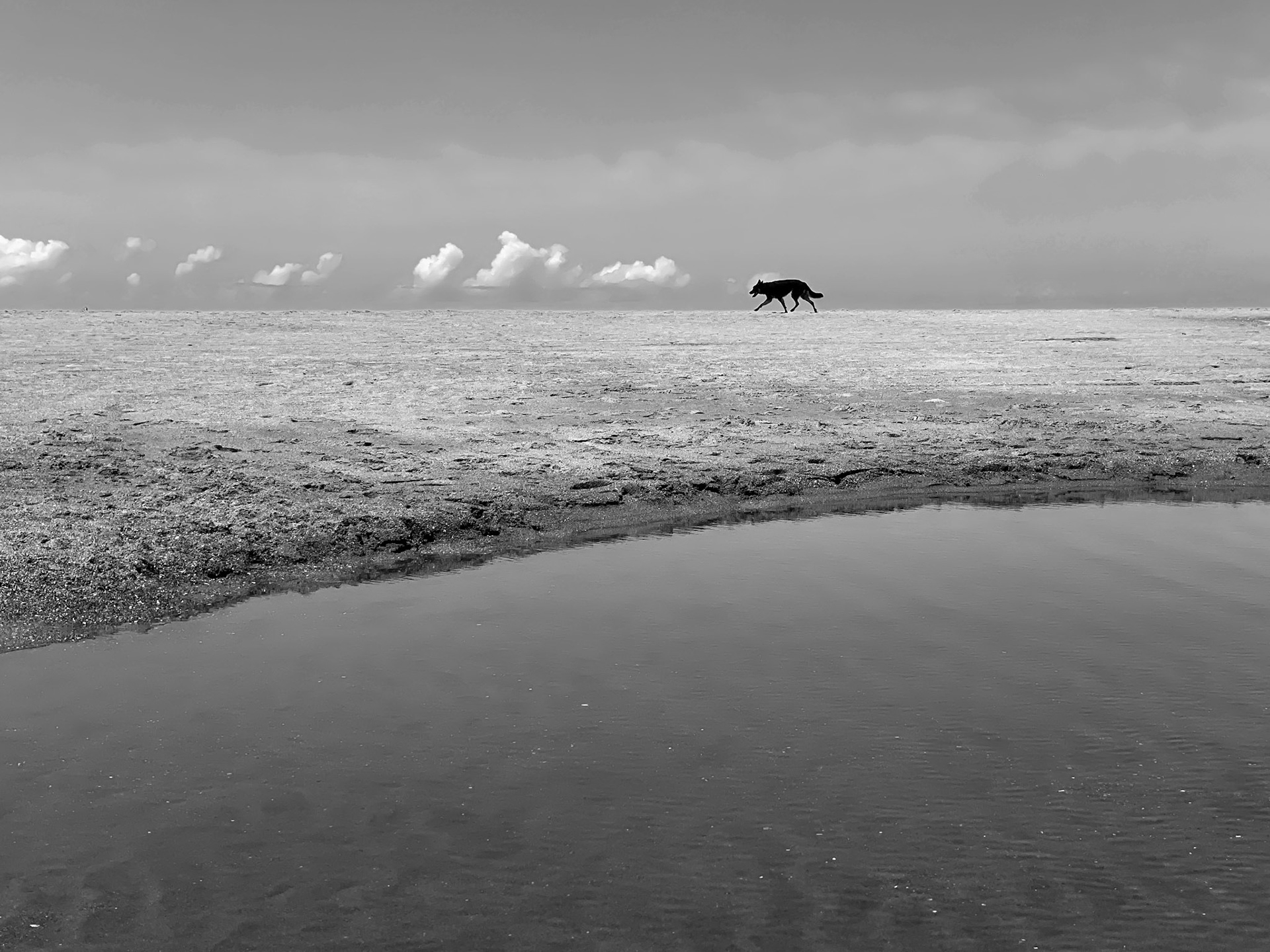 Ocean Beach Sands No.10