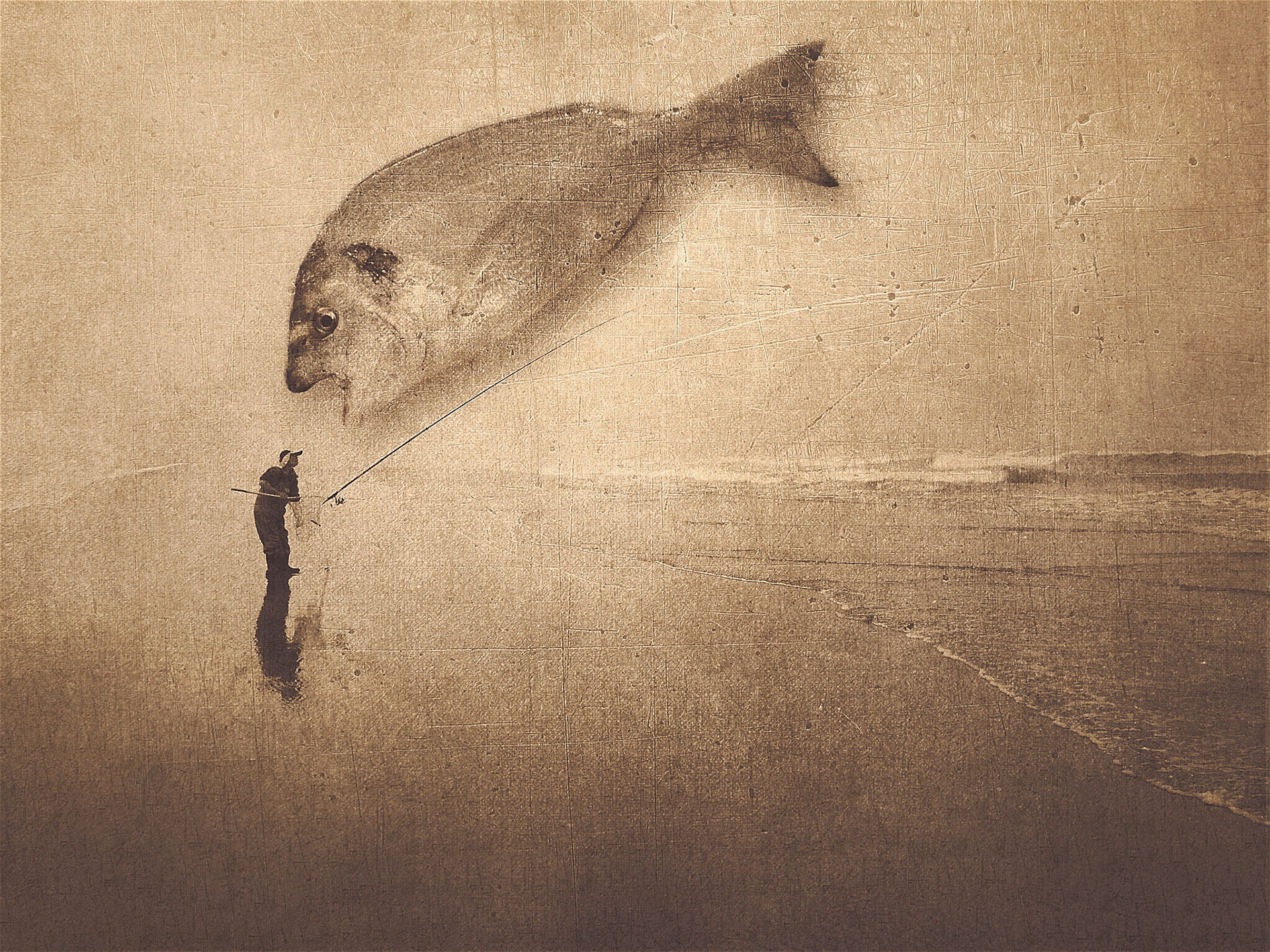 The Fish the Caught Joe