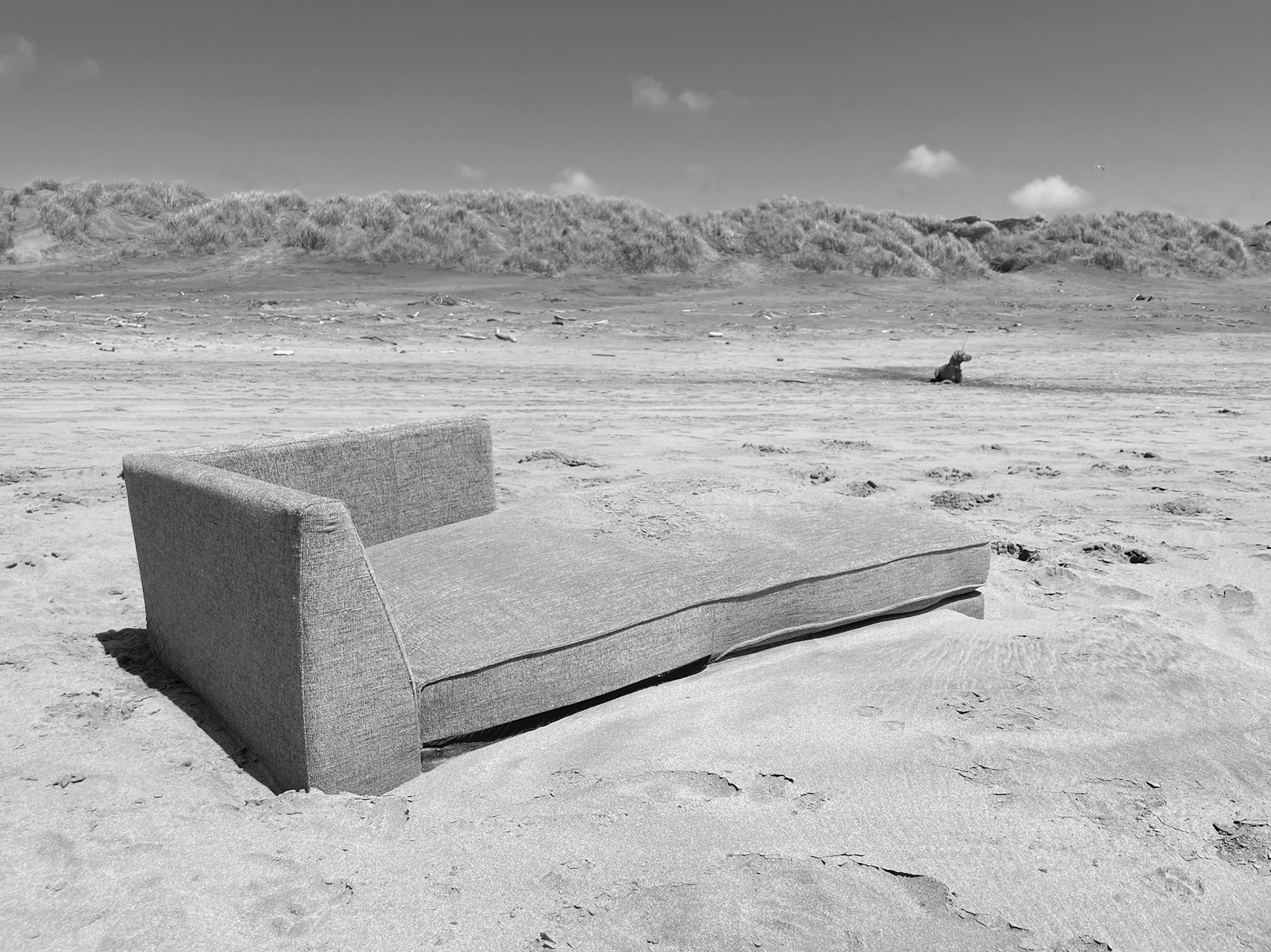 Ocean Beach Sands No.19