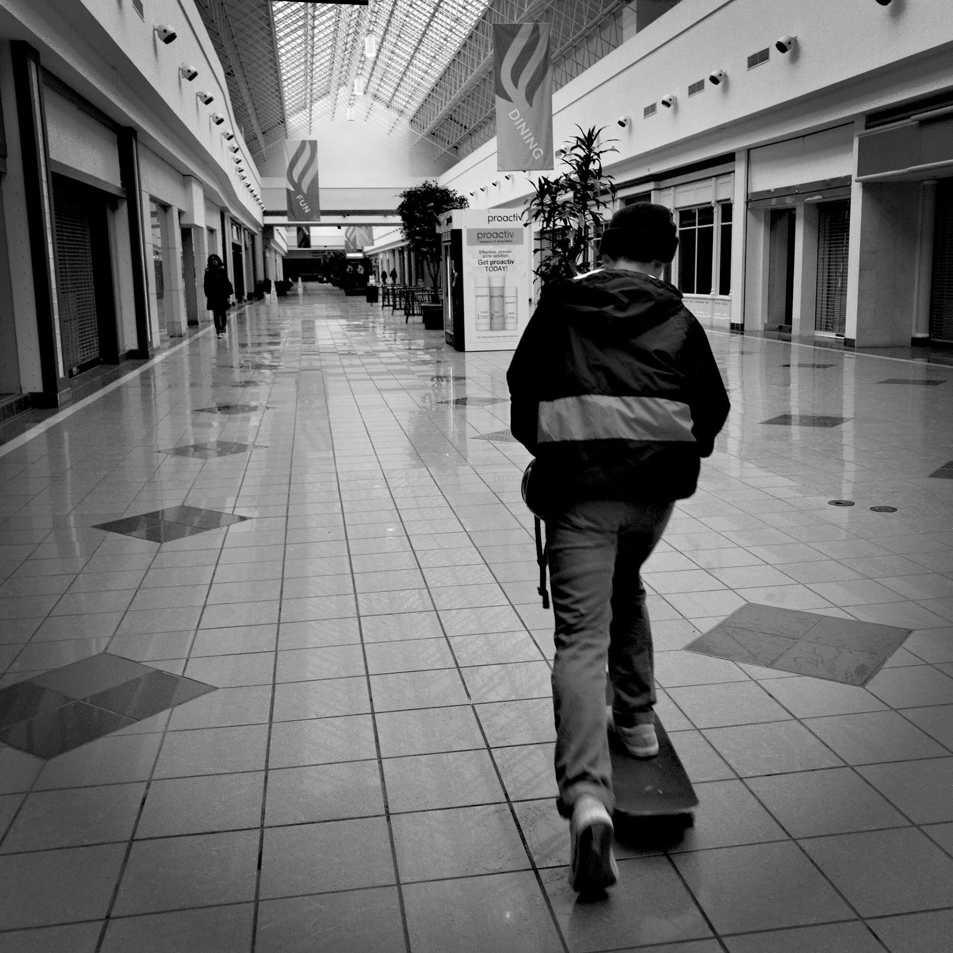 Dying Mall No.9