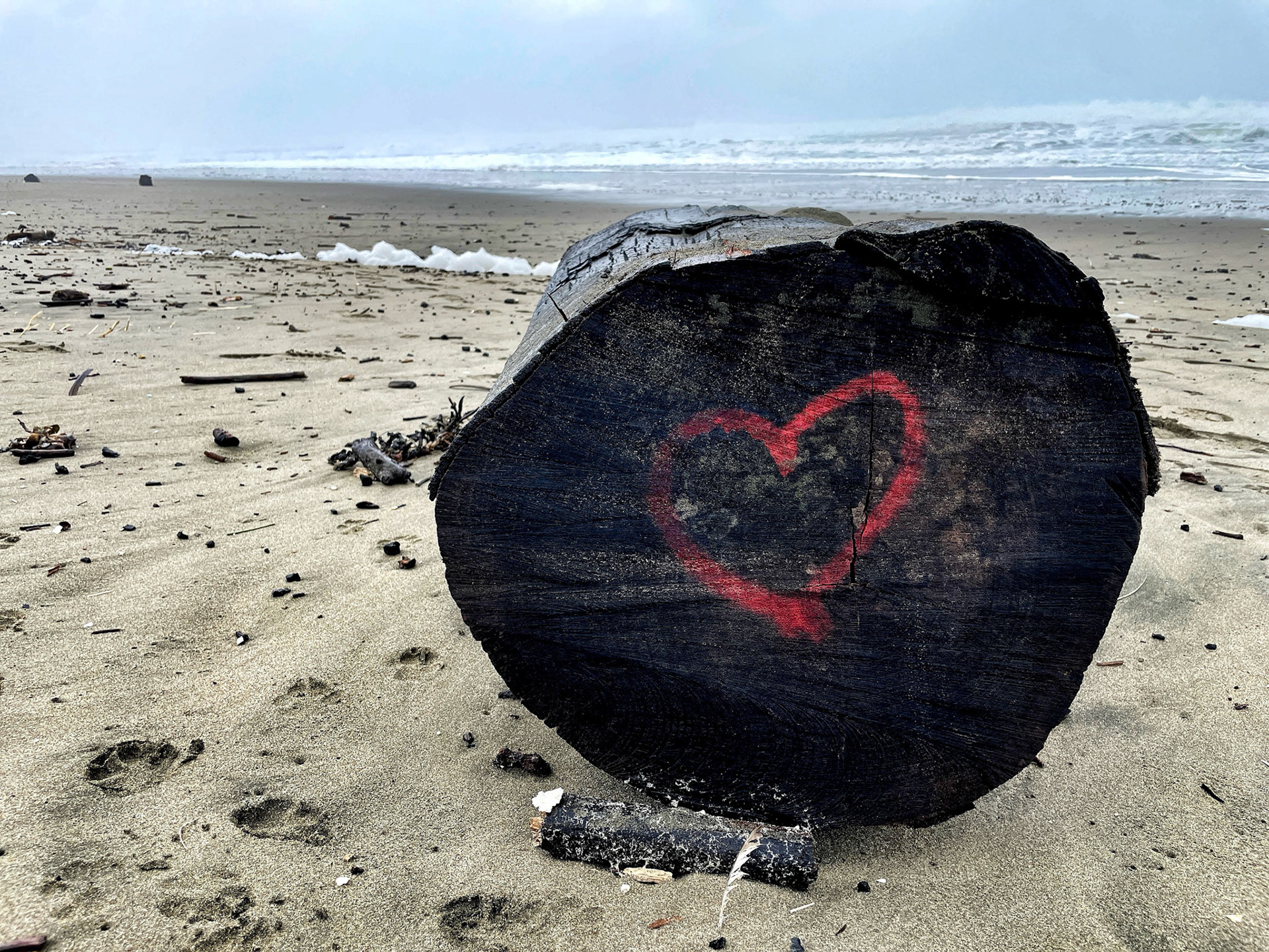 Ocean Beach Sands No.24