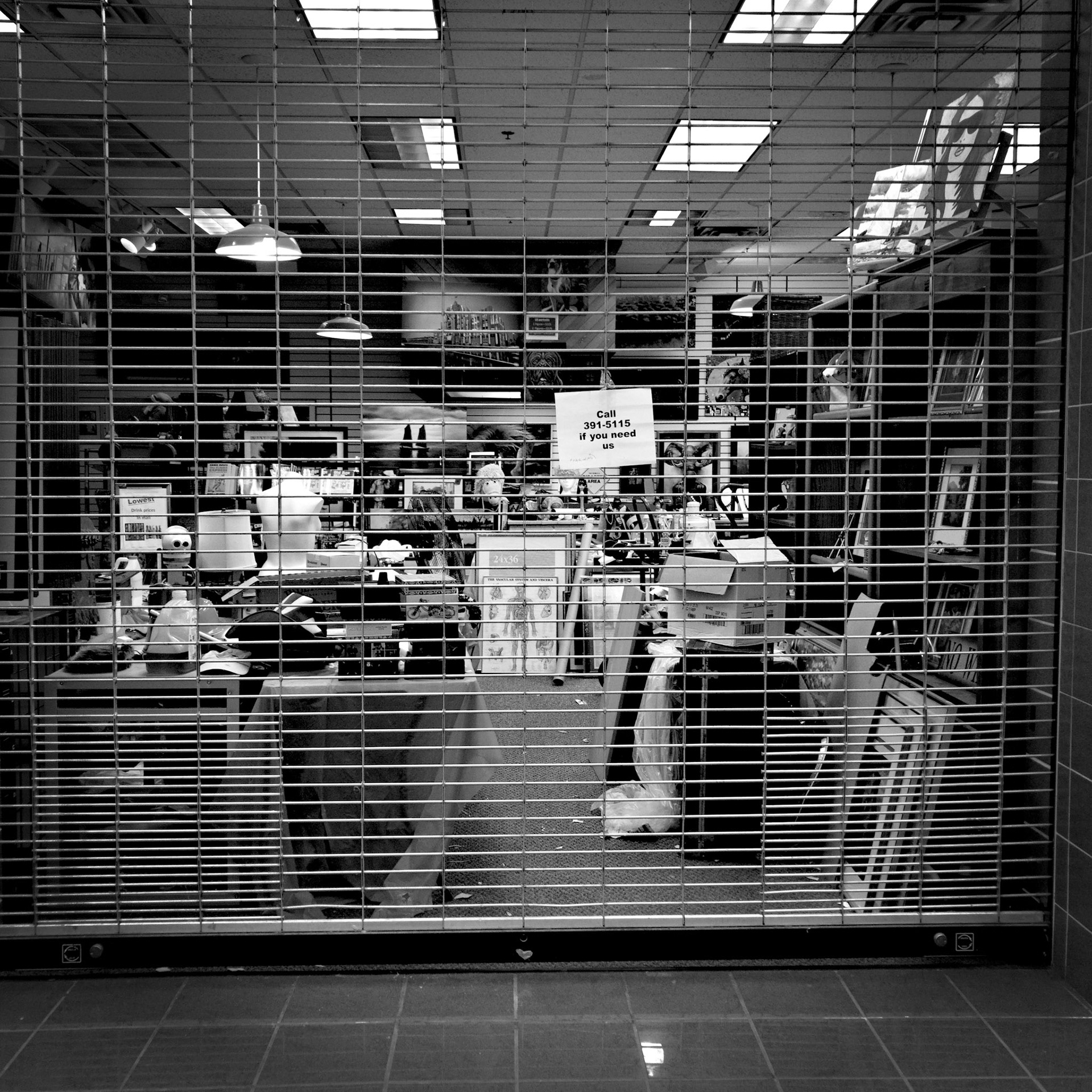 Dying Mall No.12