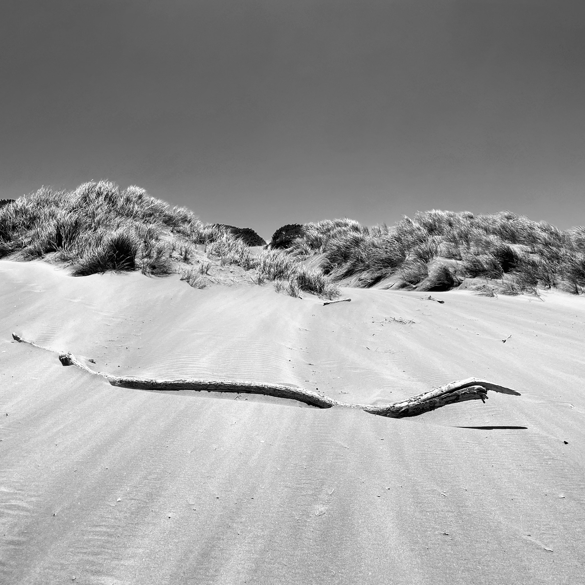 Ocean Beach Sands No.16