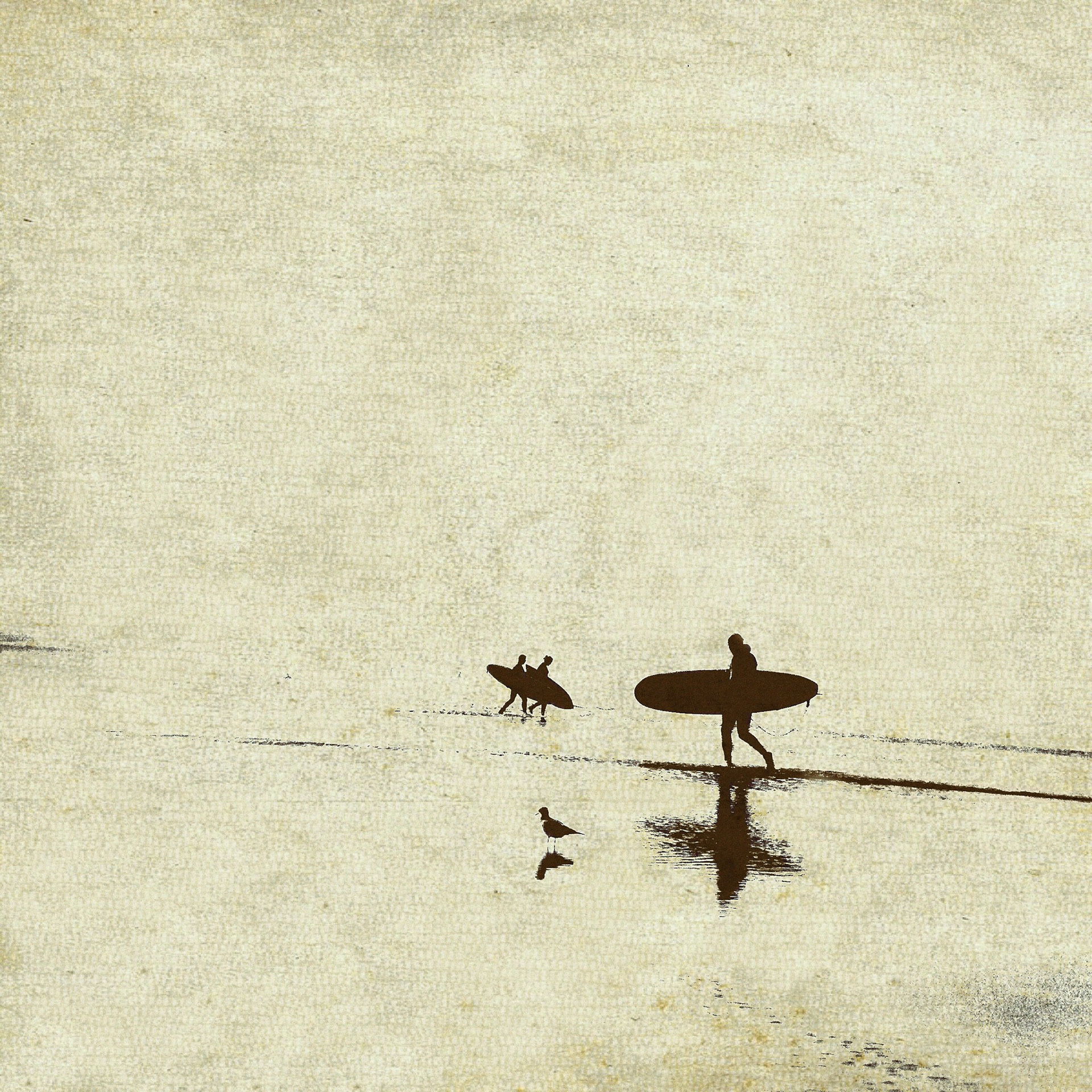 Surfers No.167