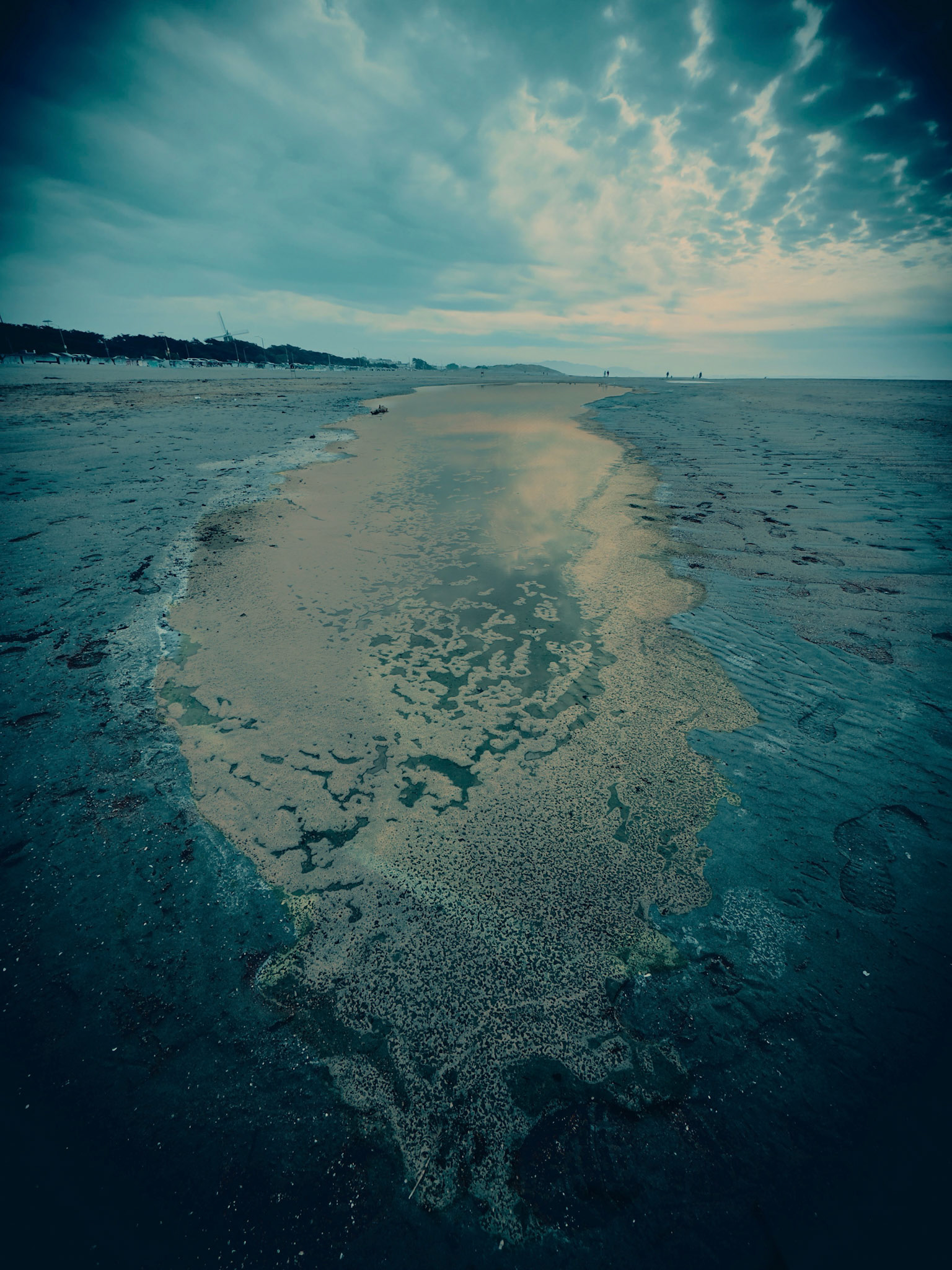 Portrait Pond