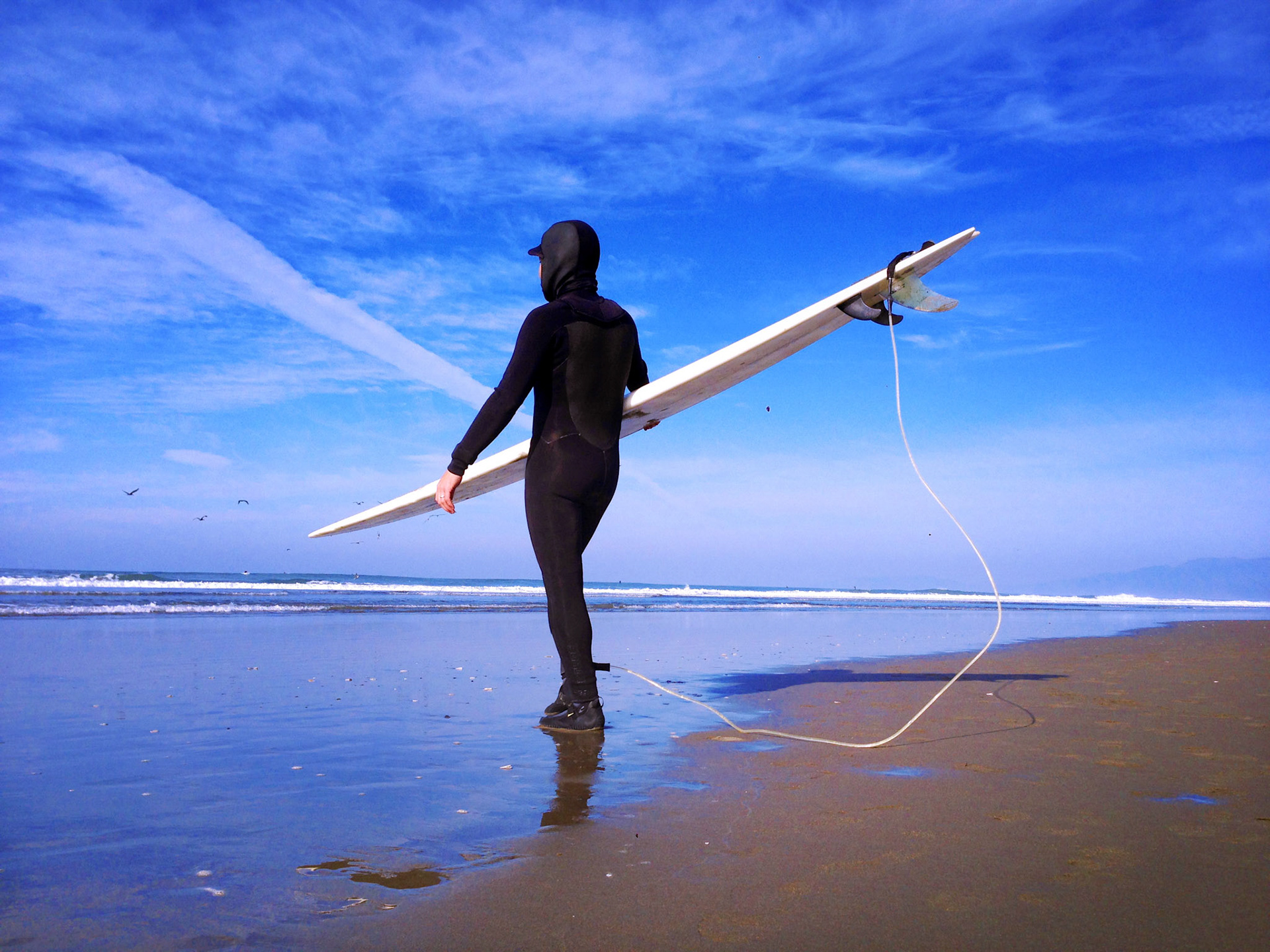 Surfers No.216