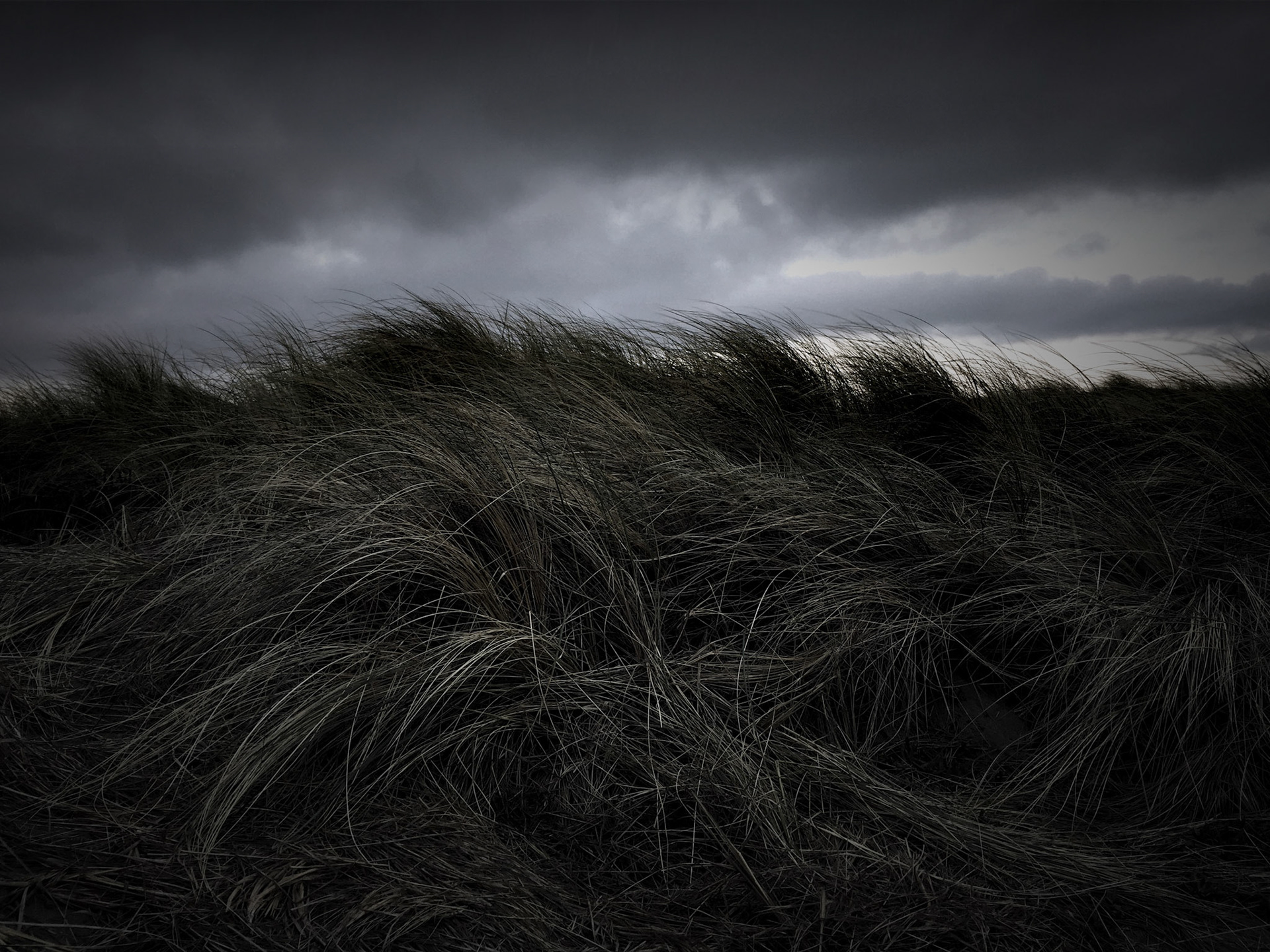 Winter Ocean No.3