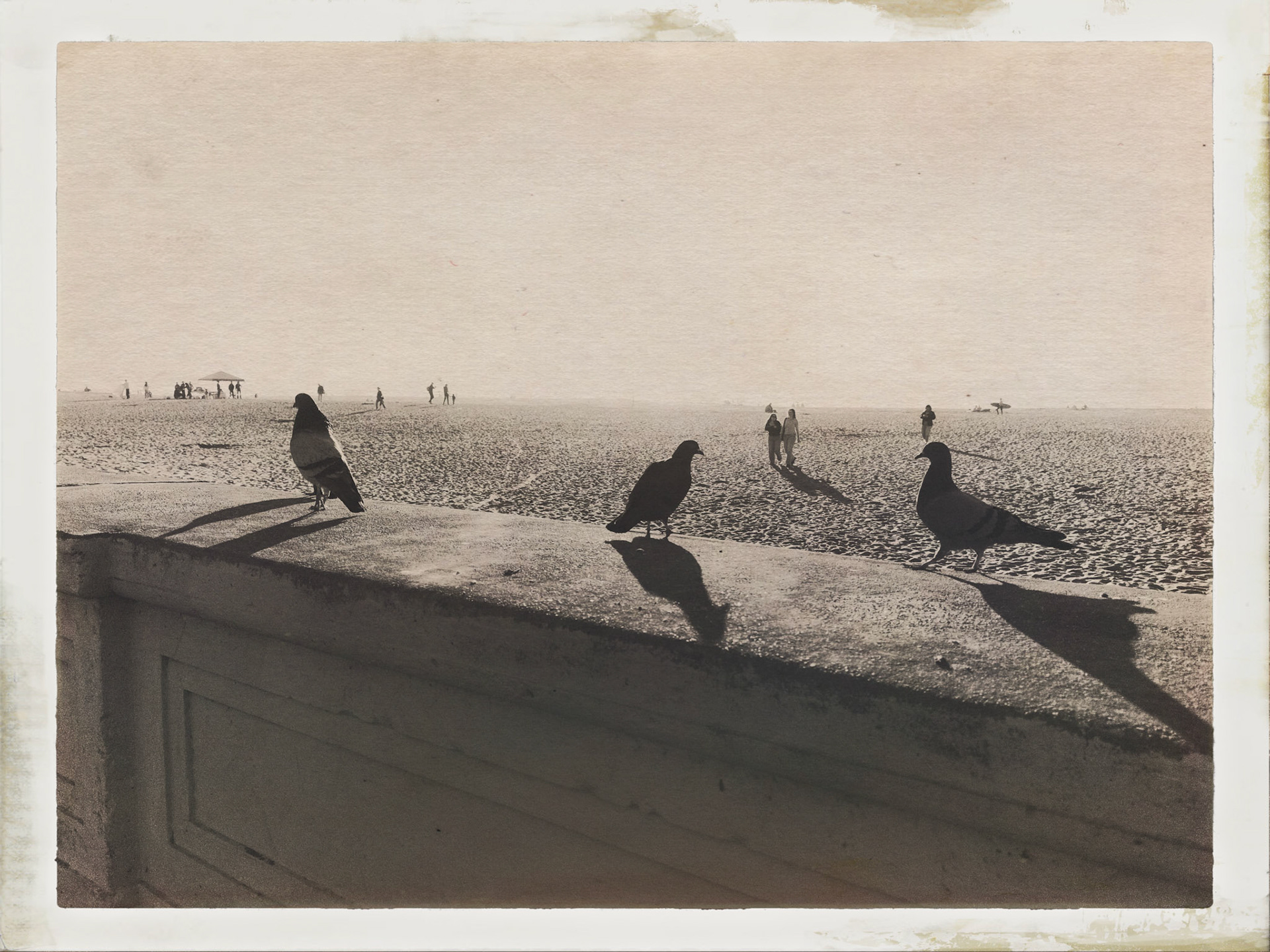 Ocean Beach Sands No.27