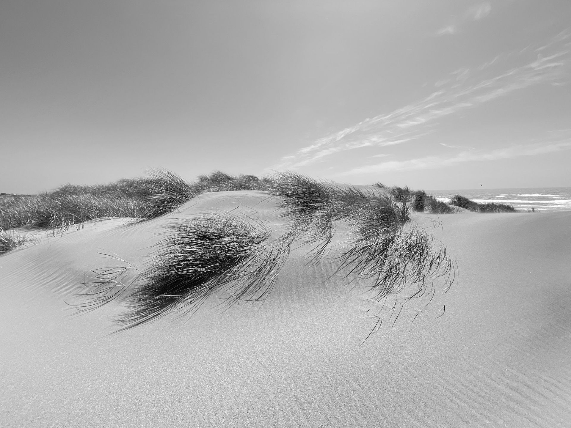 Ocean Beach Sands No.18
