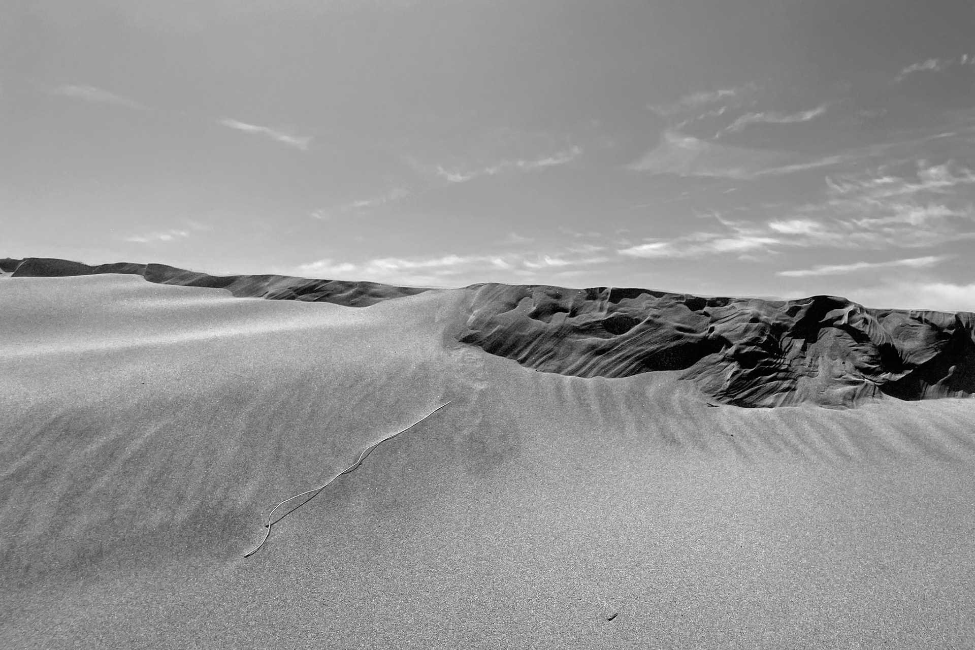 Ocean Beach Sands No.2