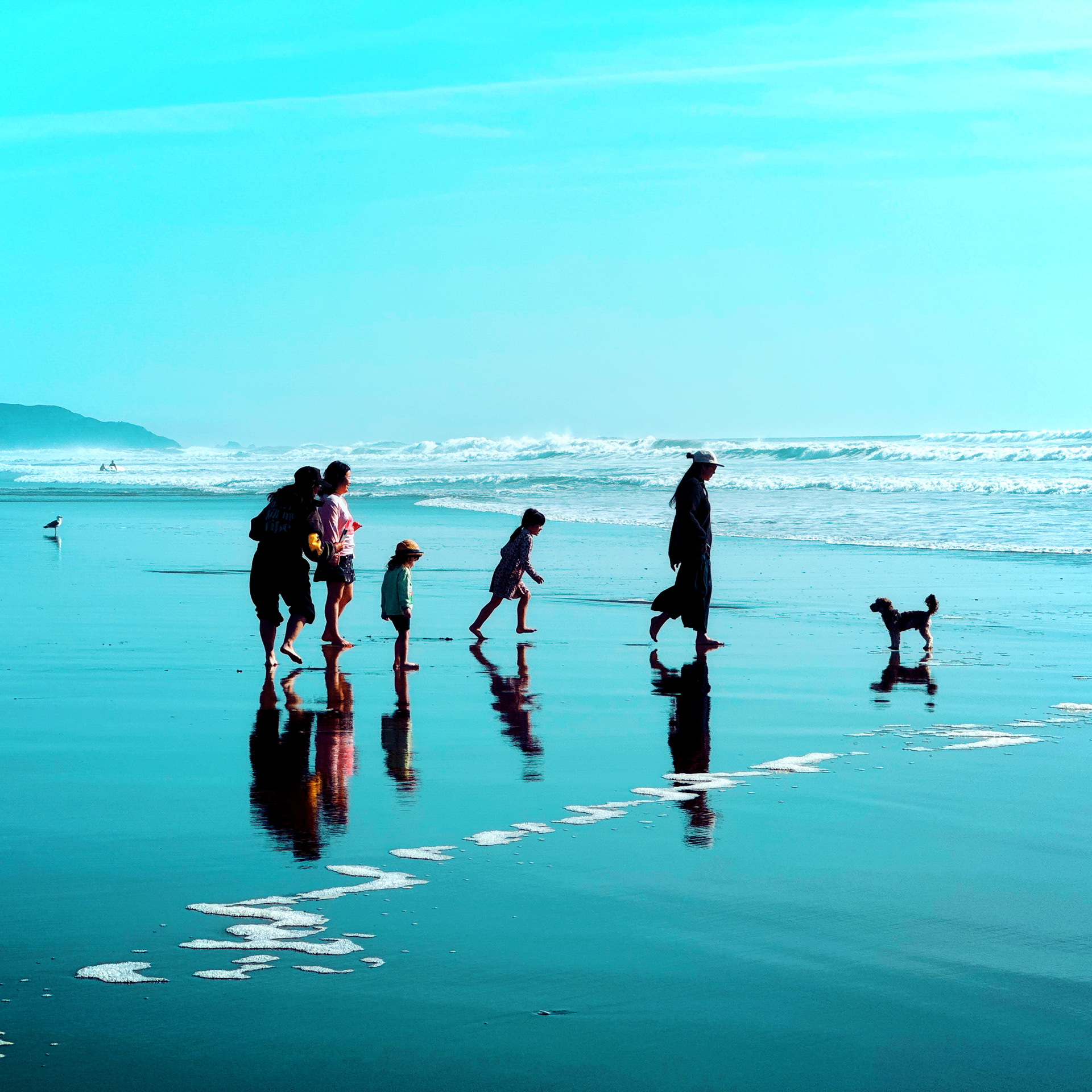 Ocean Beach Sands No.37