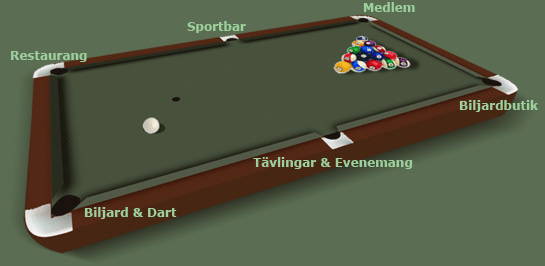 Multimedia presentation Monis Pool hall. 2005