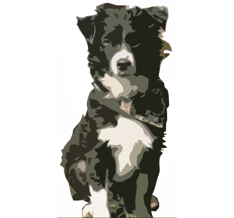 Dogs