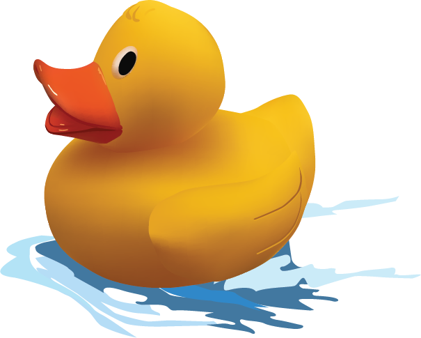 Duck, 2010