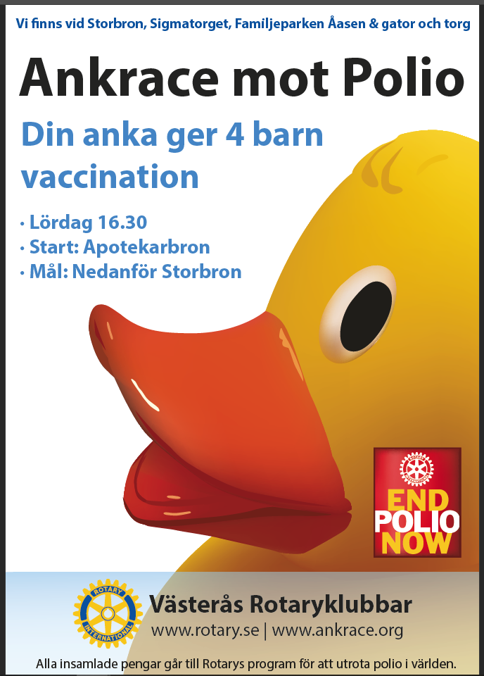 Rotary Poster For Duck Race