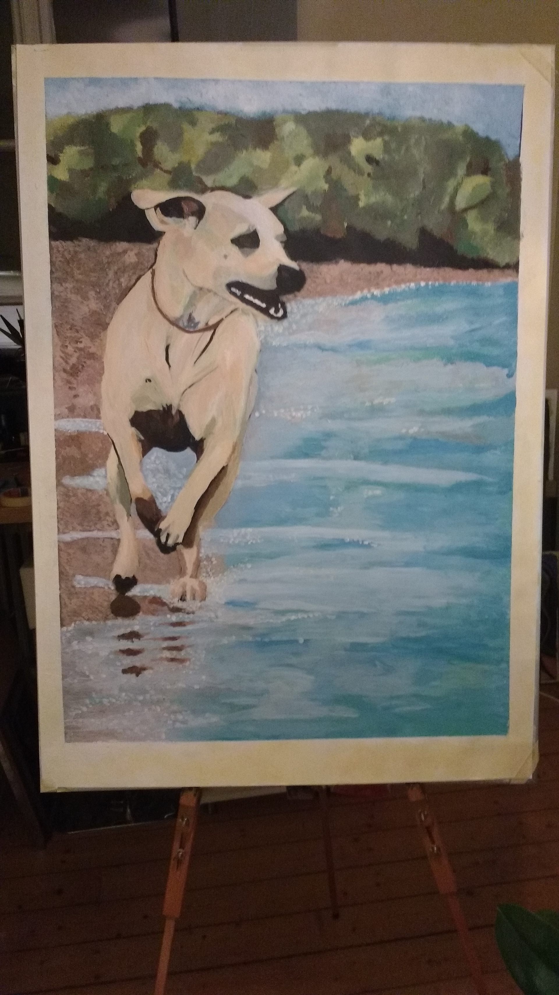 Nice Dog