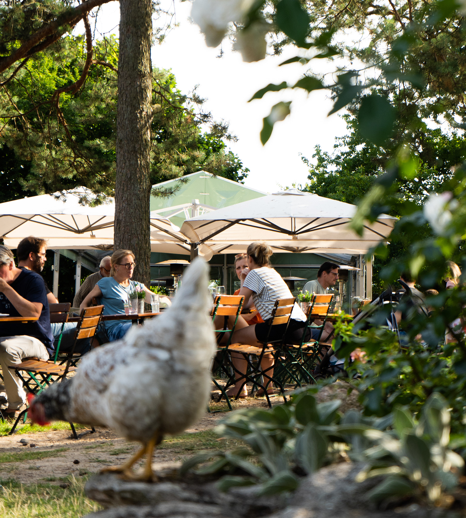 Cafegarten