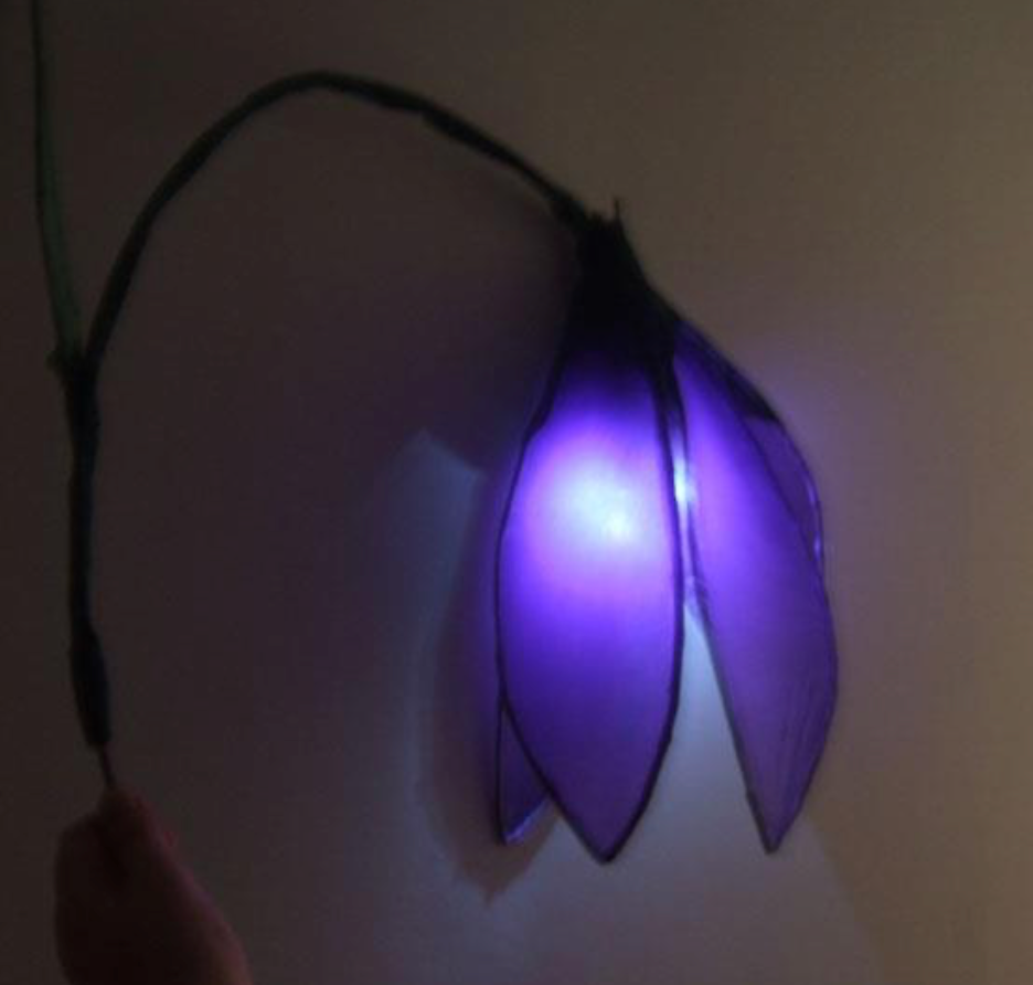 Bluebell lanterns