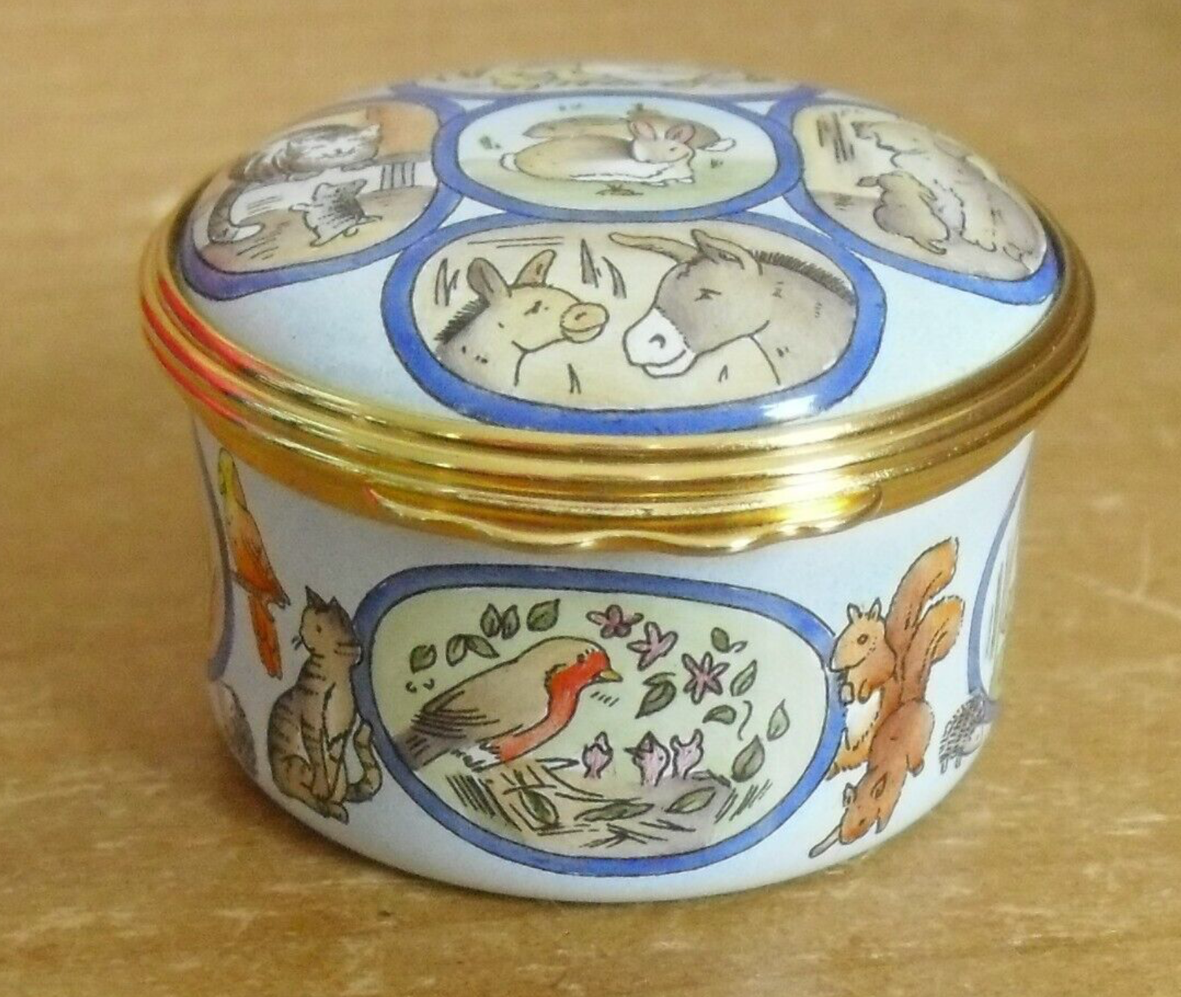 The Blue Cross Centenary Box