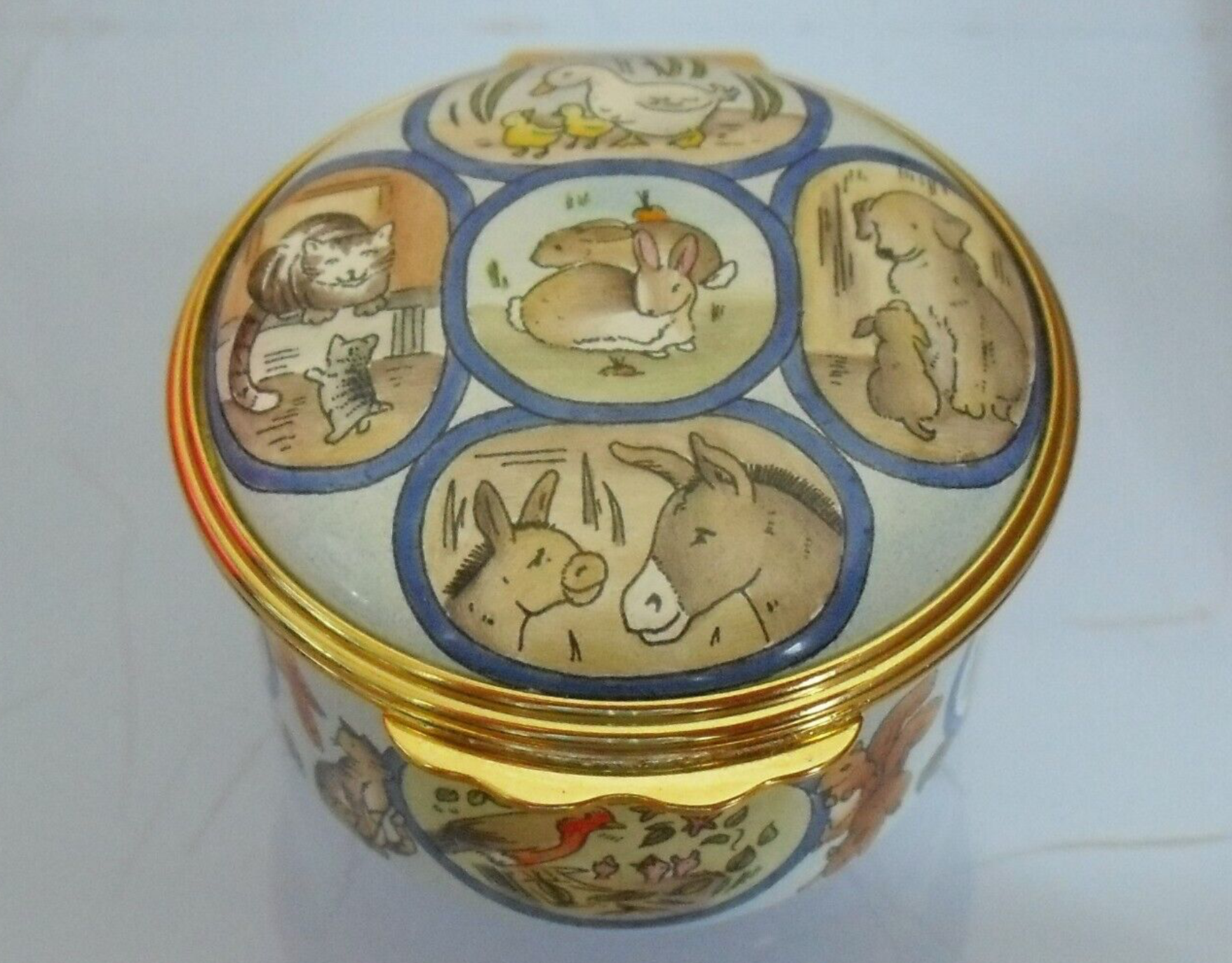 The Blue Cross Centenary Box