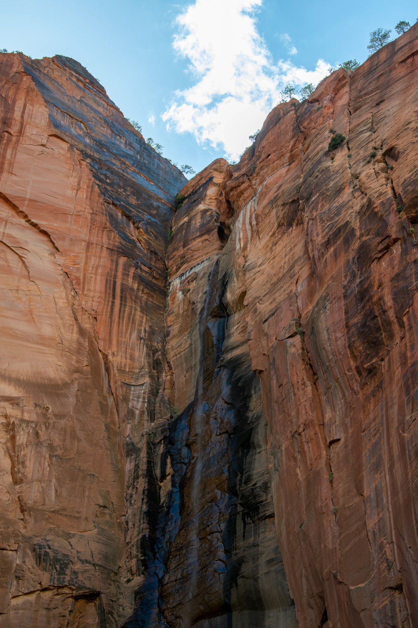 Zion National Park