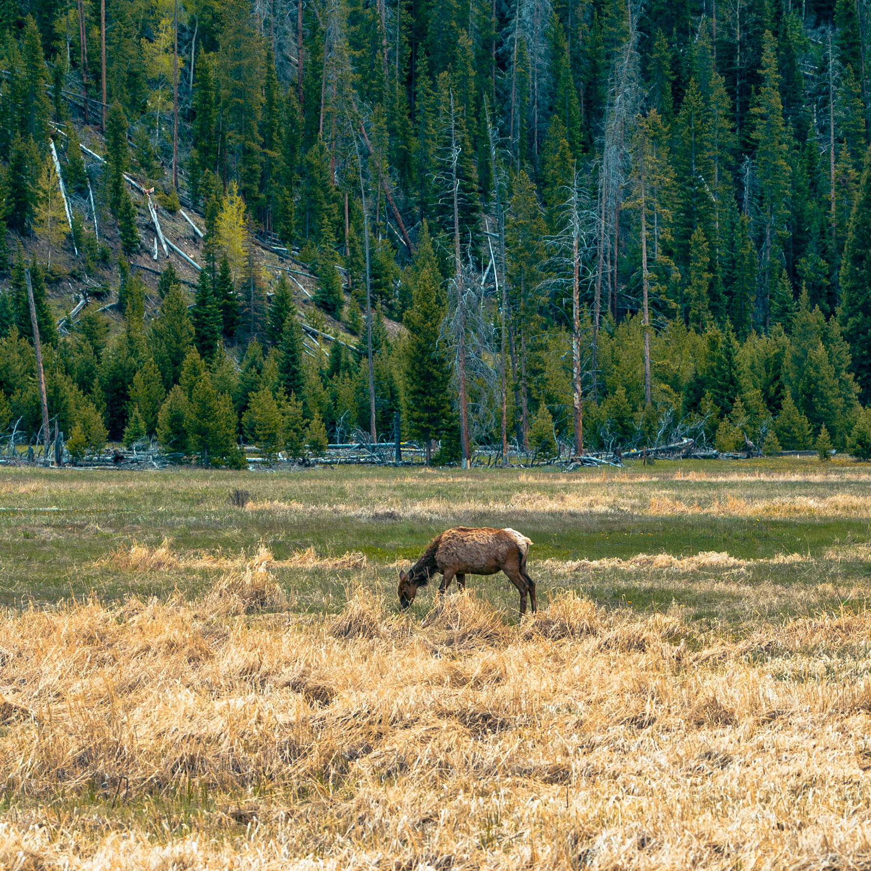 Rocky Mountain National Park