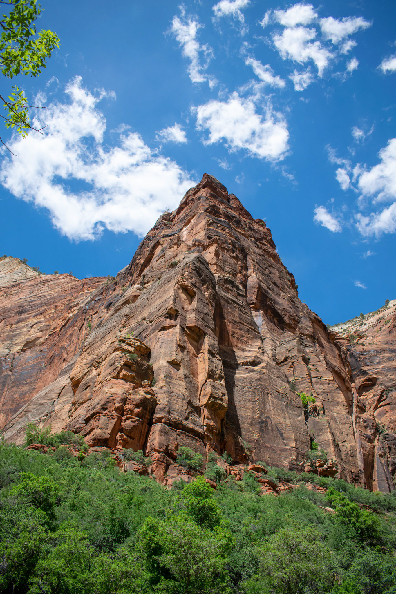 Zion National Park