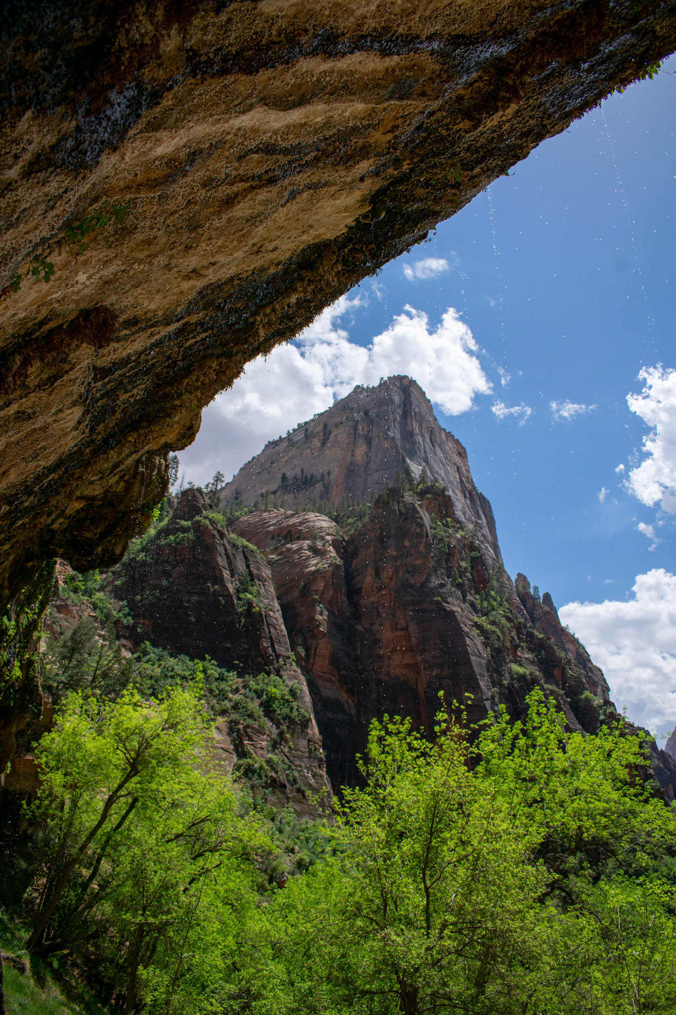 Weeping Rock - Zion National Park