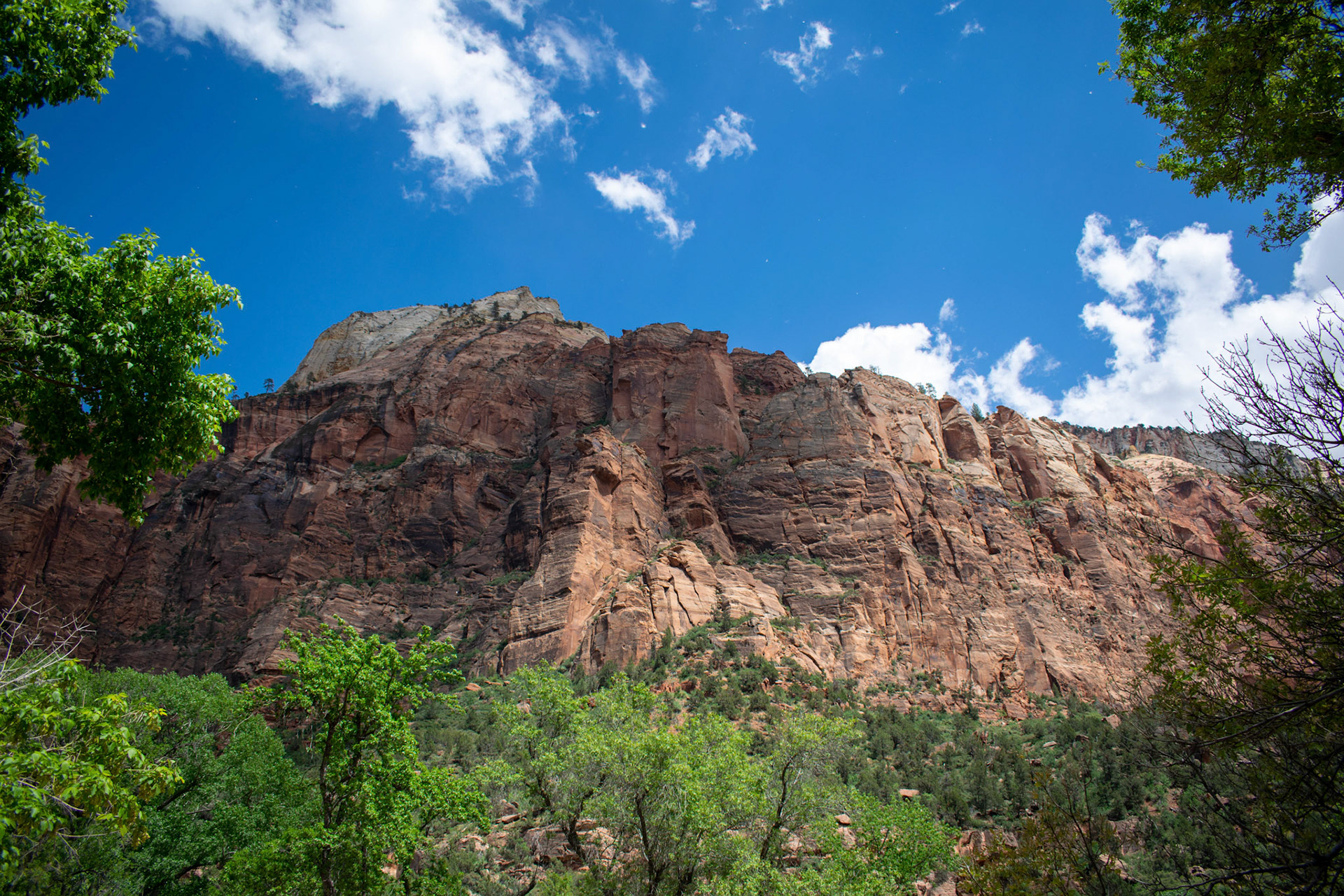 Zion National Park