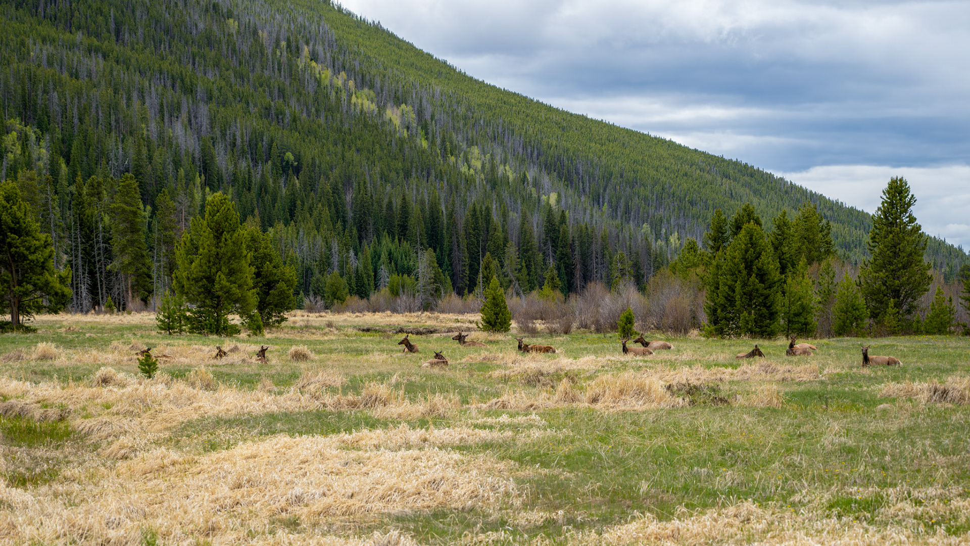Rocky Mountain National Park
