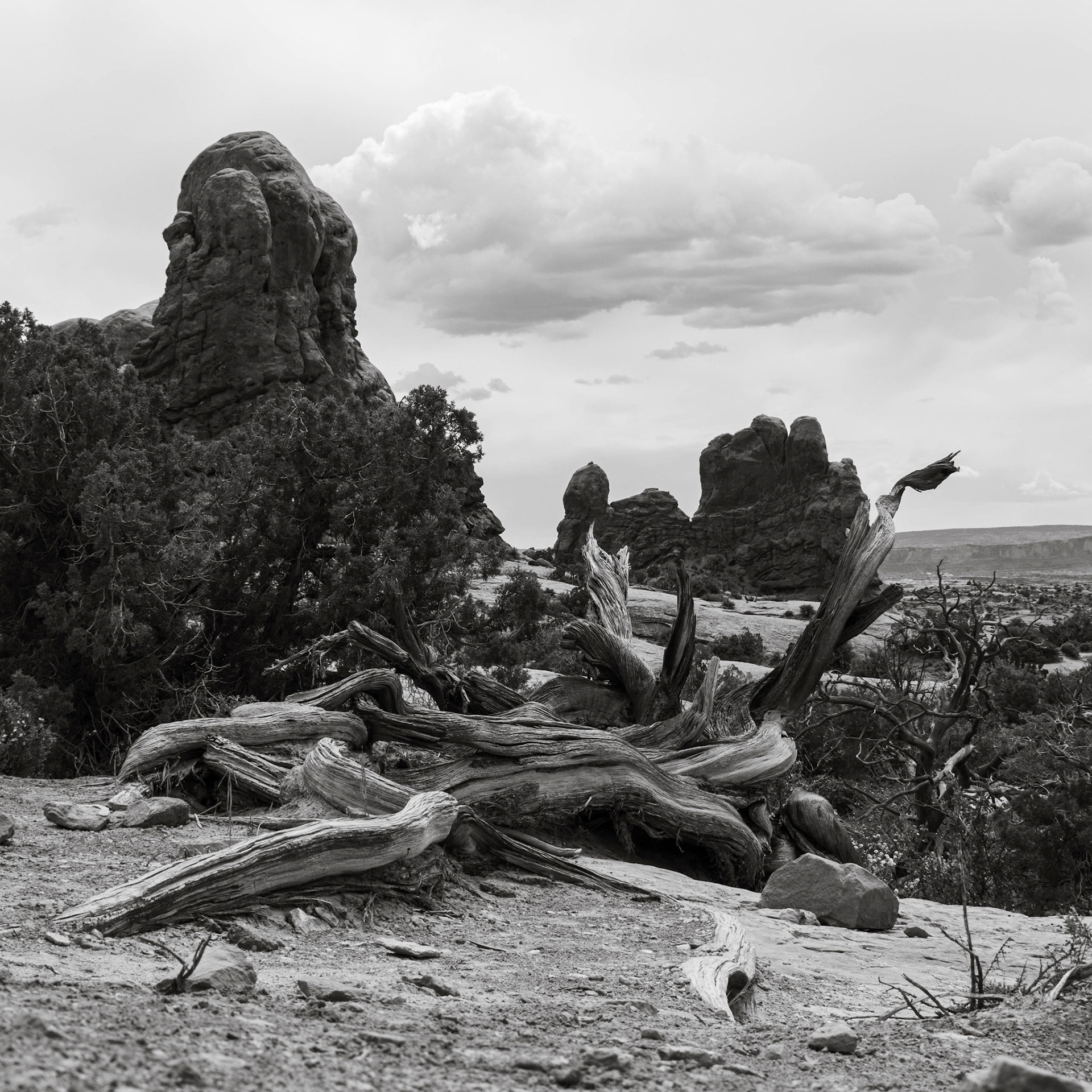 Arches National Park