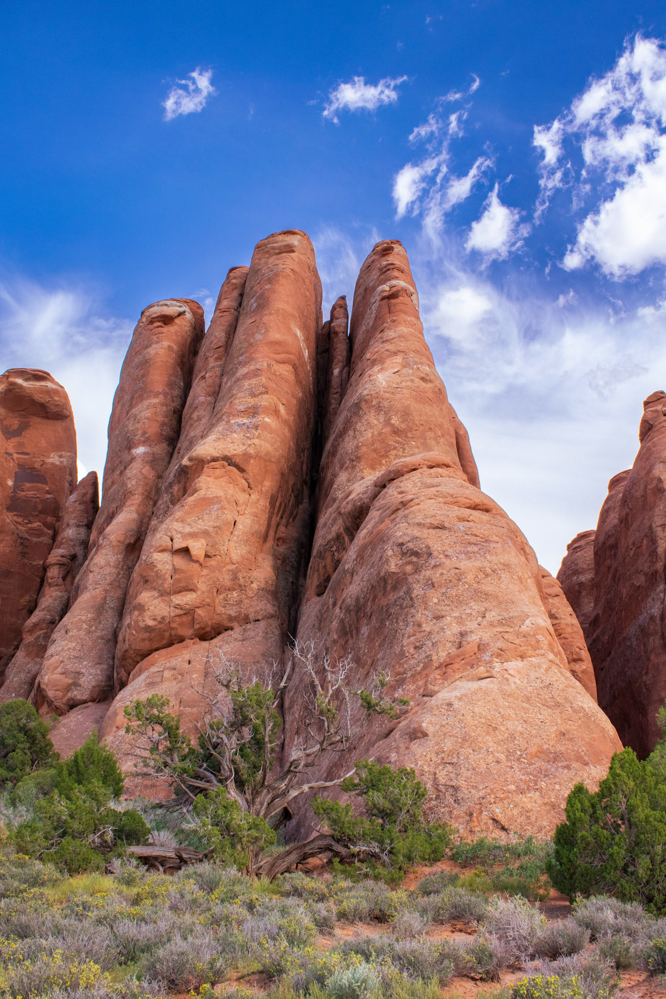 Arches National Park