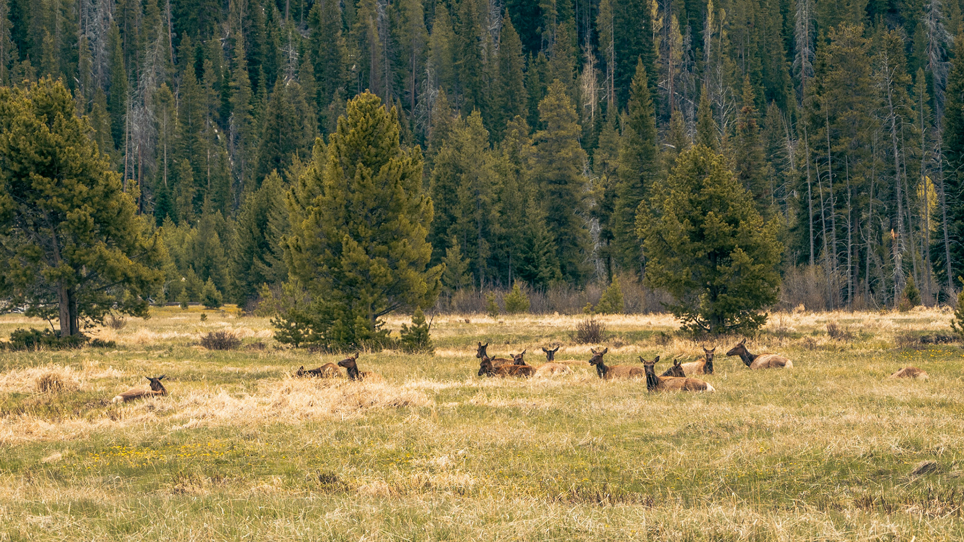 Rocky Mountain National Park