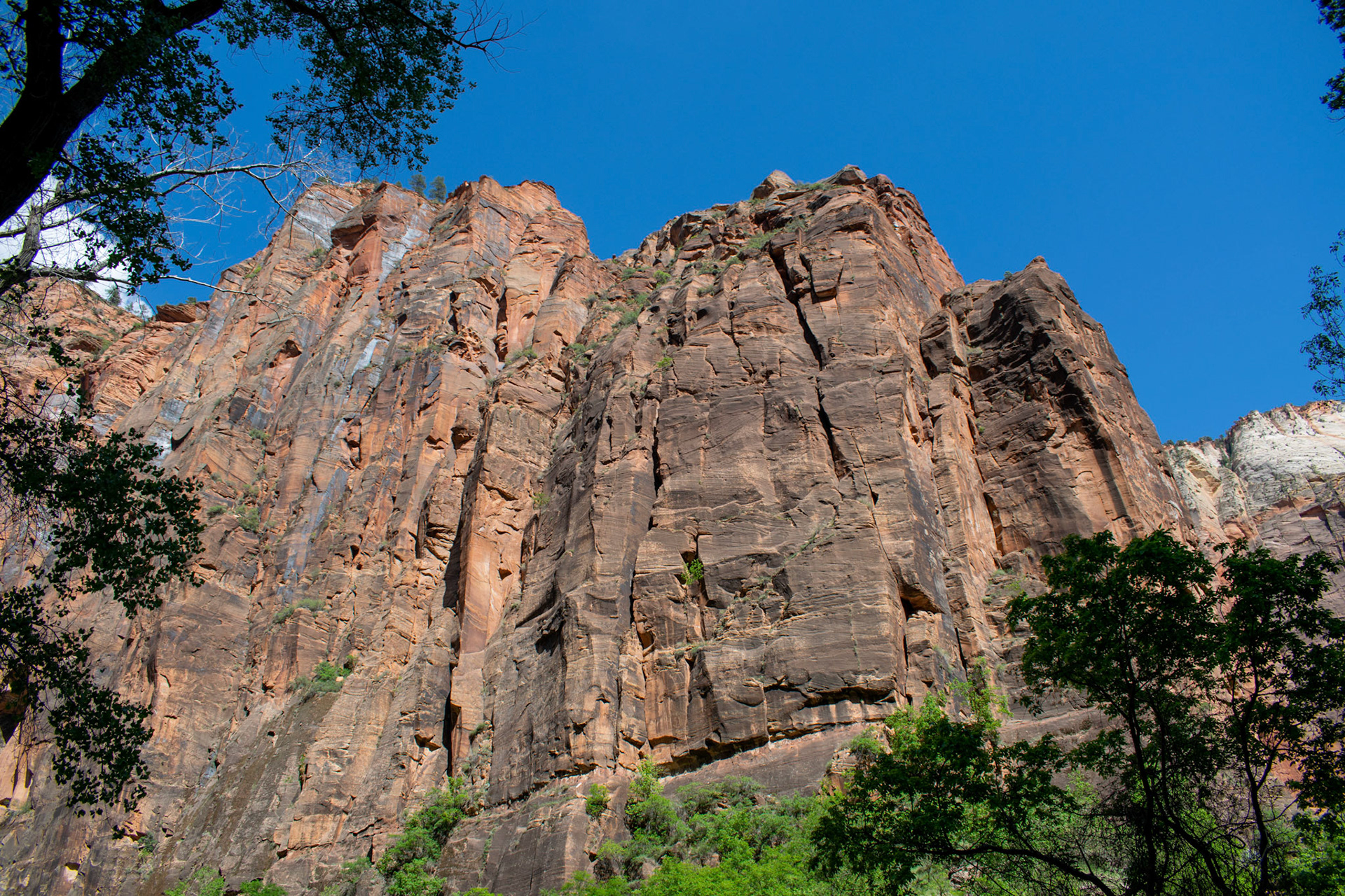 Zion National Park