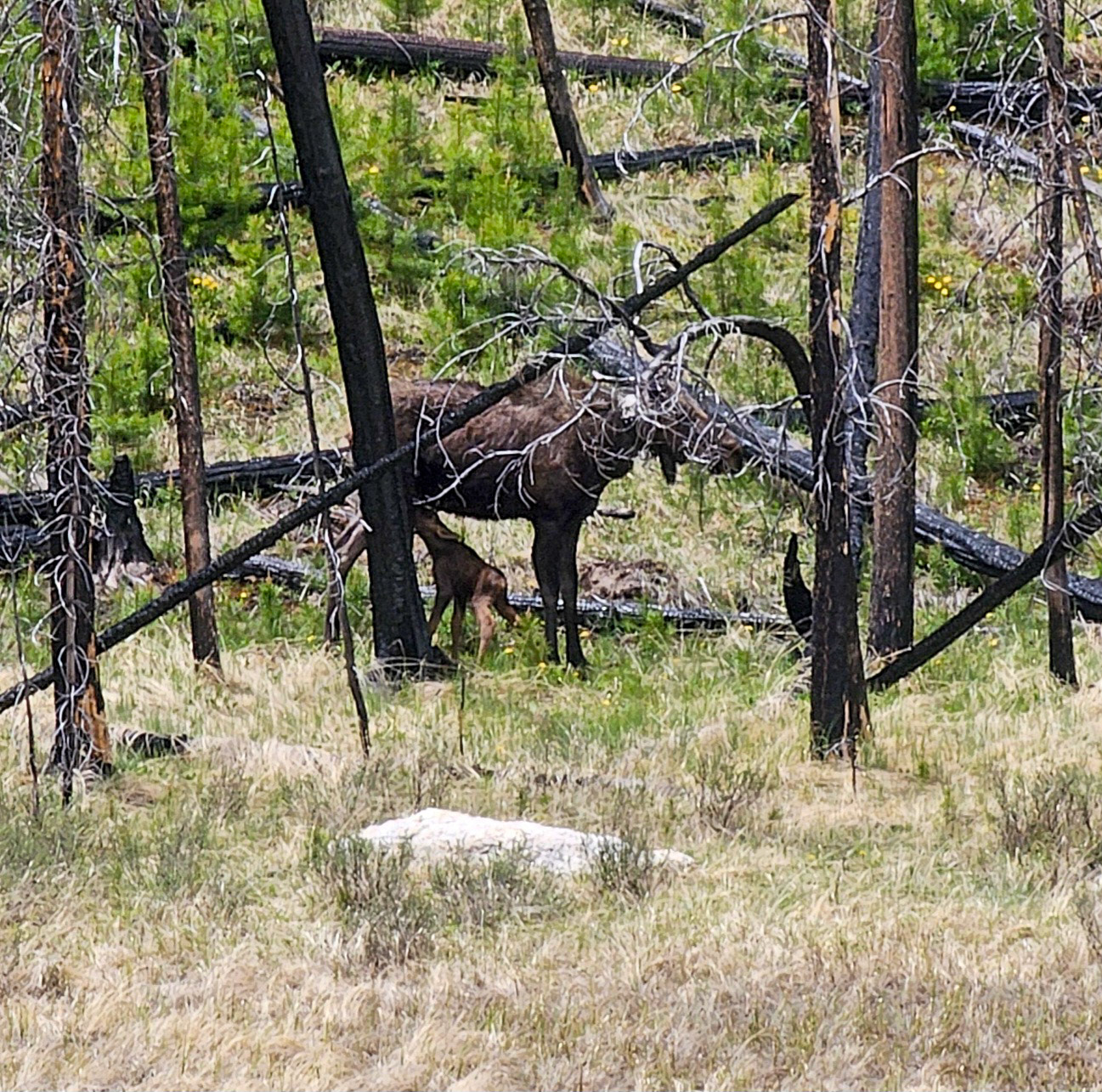 Rocky Mountain National Park