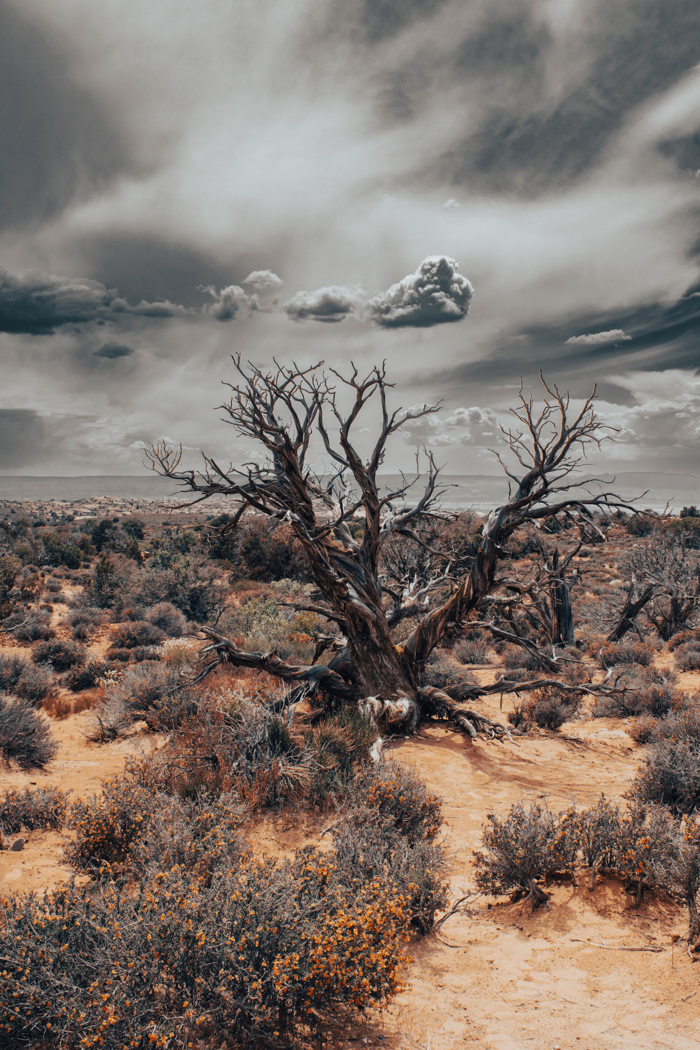 Arches National Park