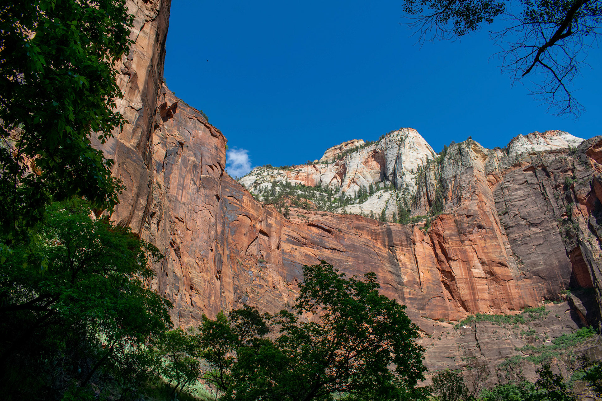 Zion National Park