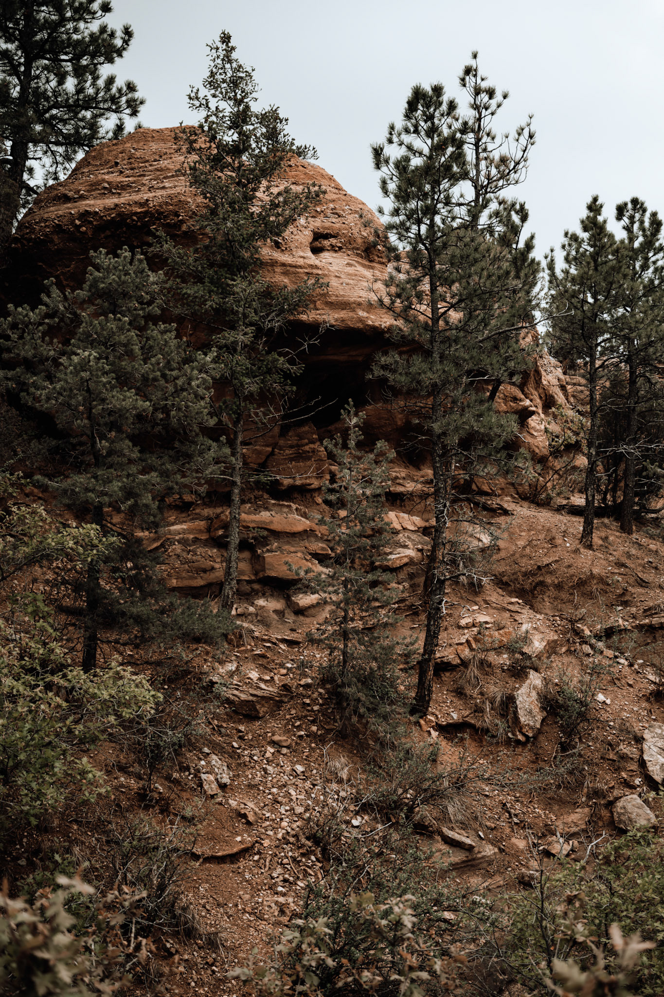 Garden of the Gods