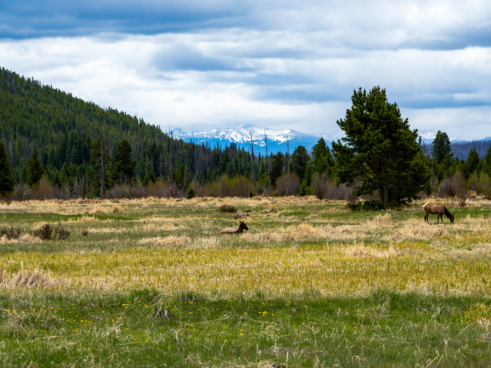 Rocky Mountain National Park