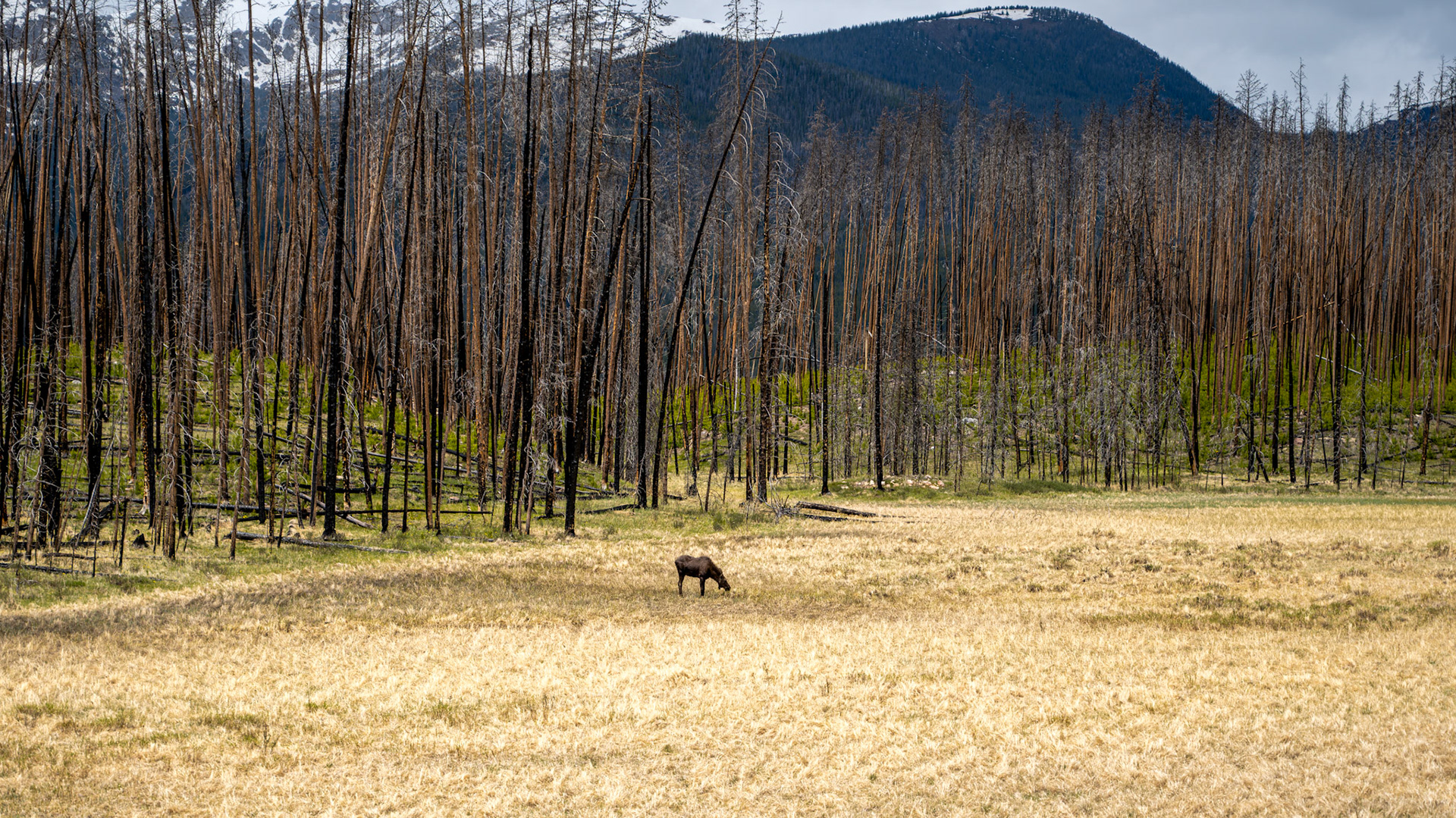 Rocky Mountain National Park