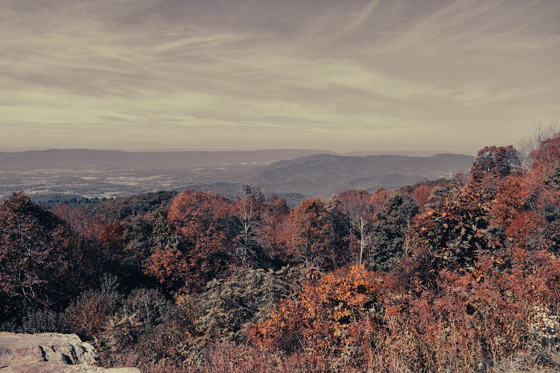Virginia 2021