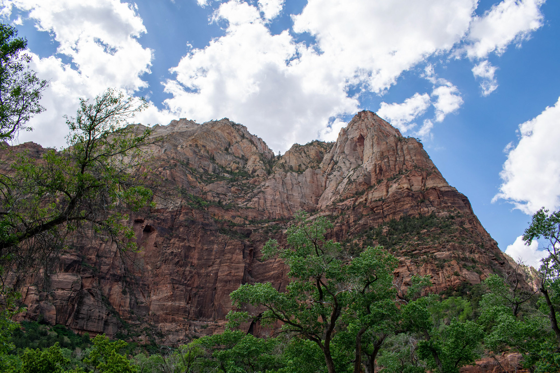 Zion National Park