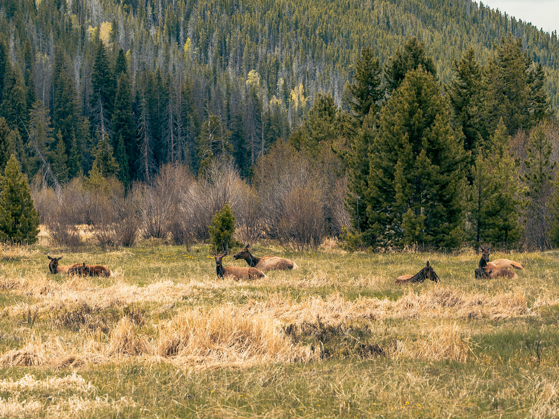 Rocky Mountain National Park