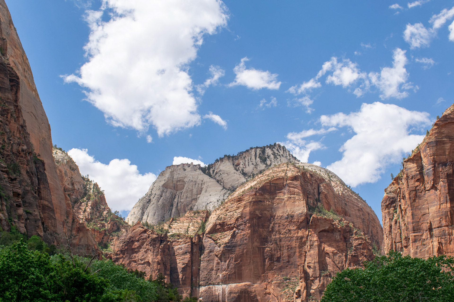 Zion National Park