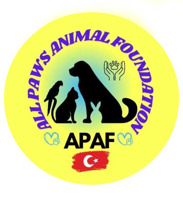 All Paws Animal Foundation