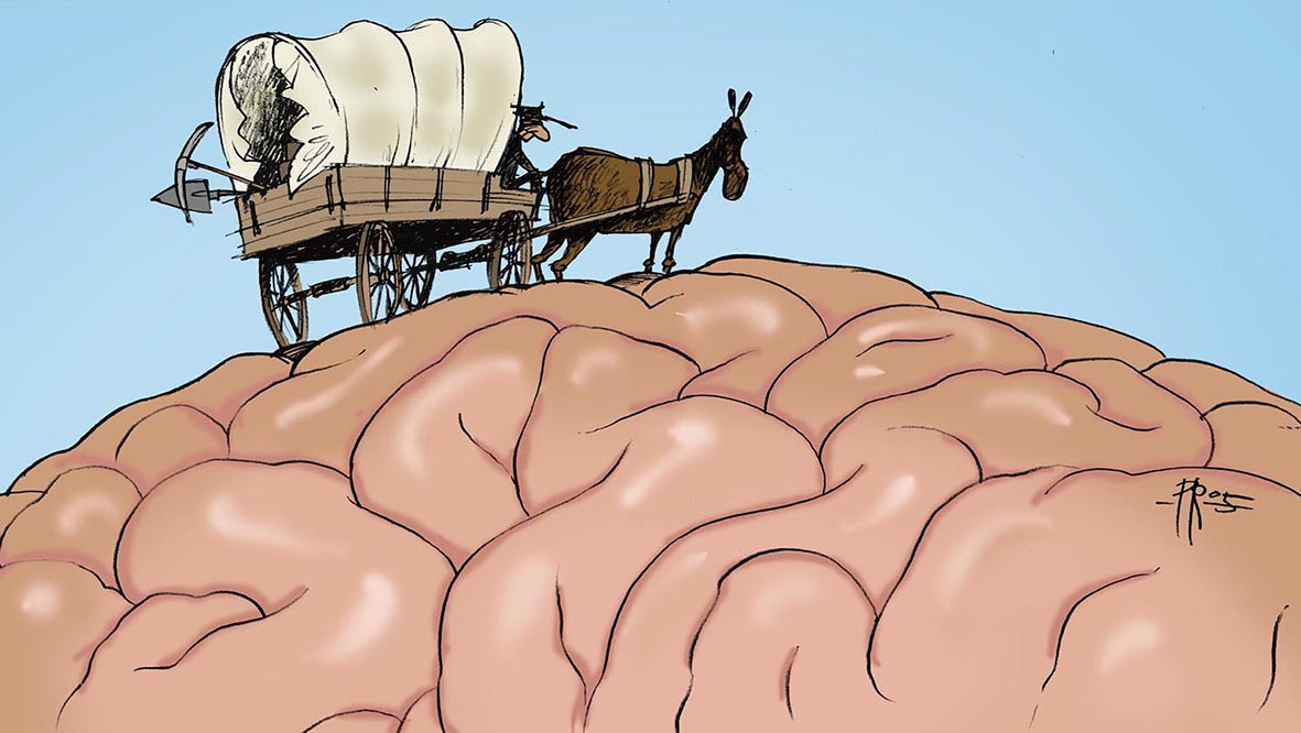 Aivotutkimus / Brain research · Työterveyslaitos 2005