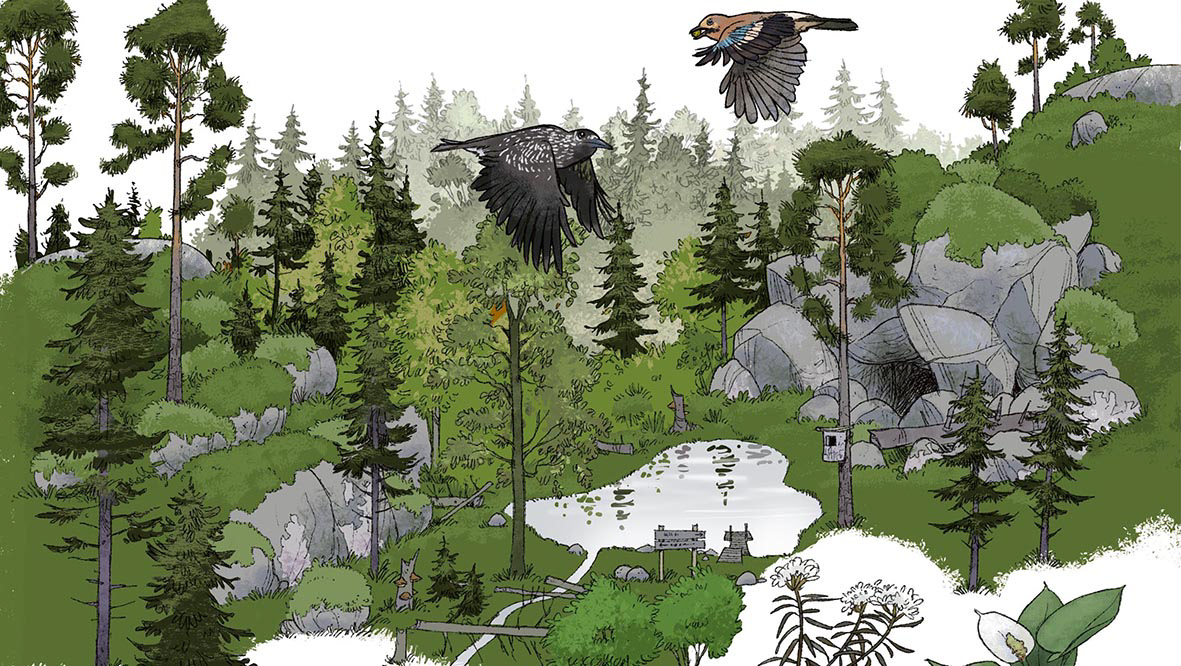 Luontopolkuopaste / Nature trail signpost · Nokian kaupunki 2019