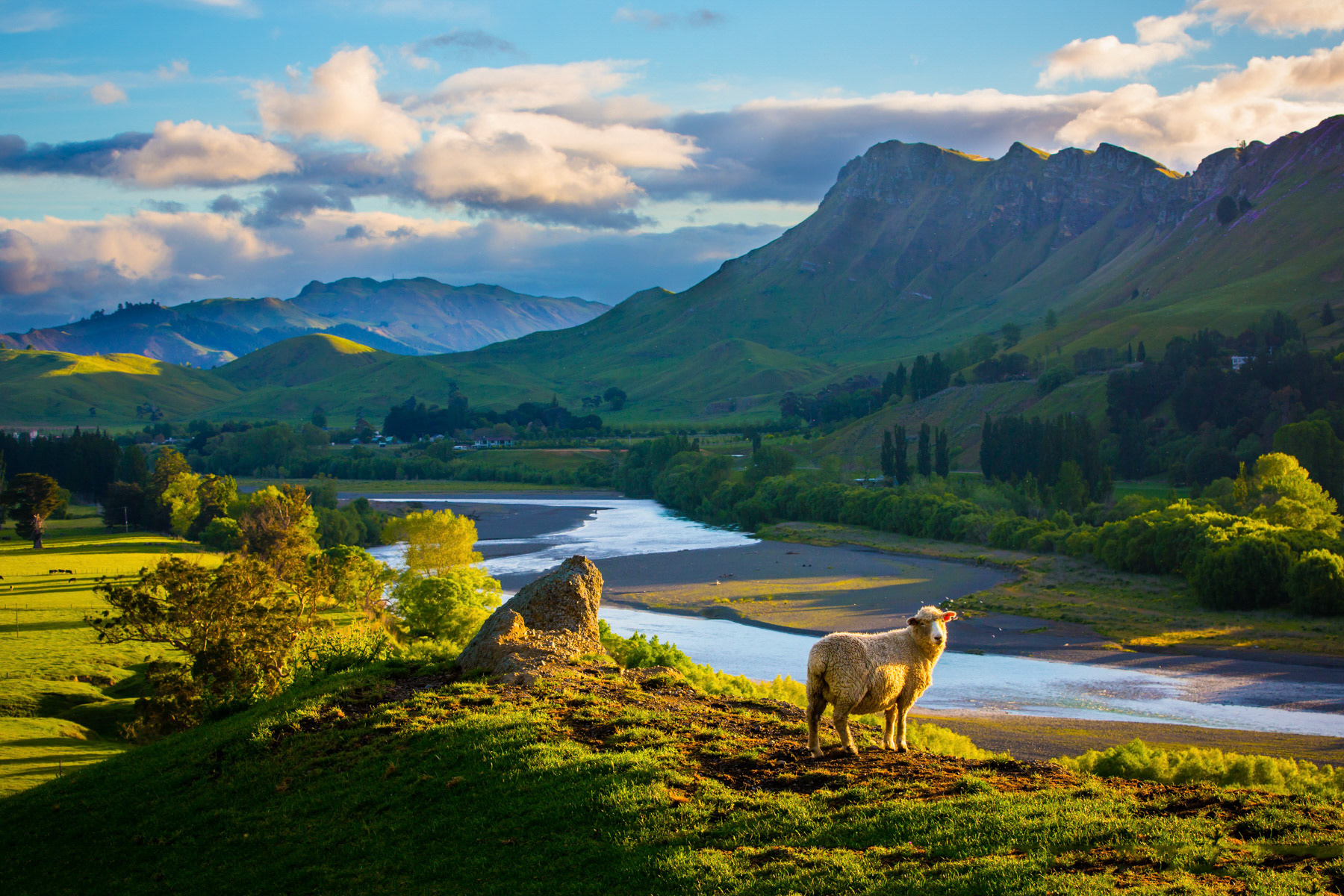 Tukituki Te Mata